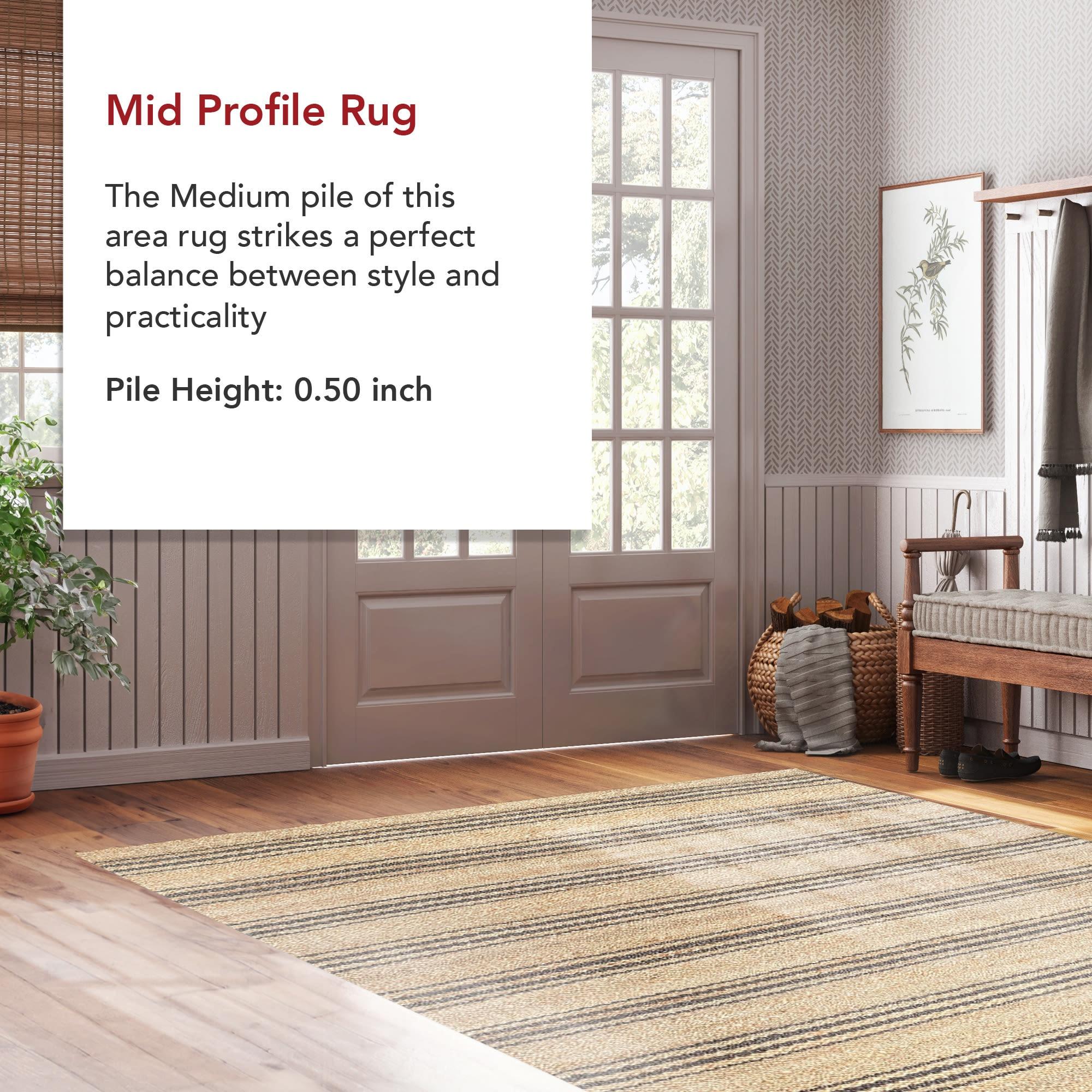 Beachcrest Home™ Natural Sycamore Striped Jute Area Rug