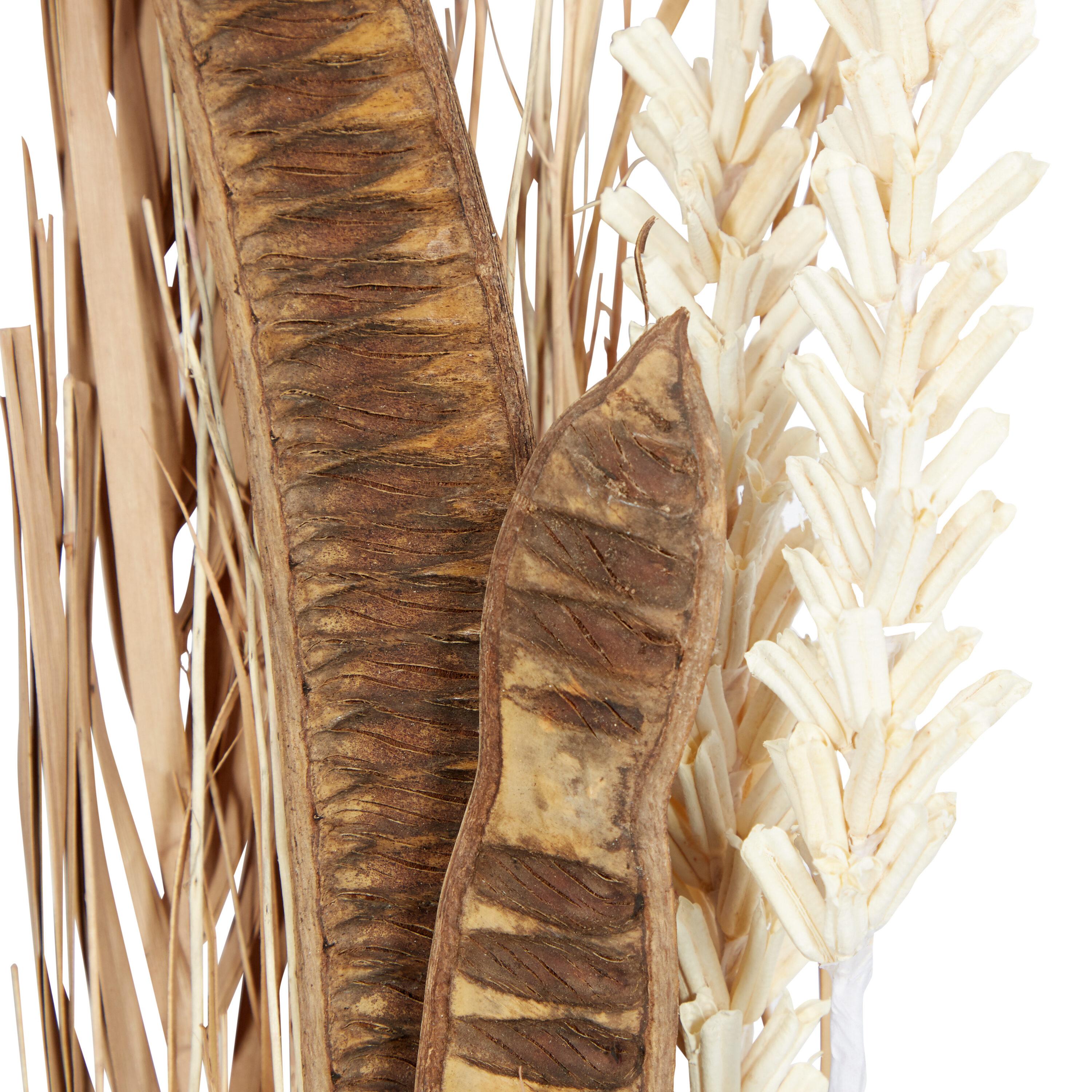 57" Dried Plant Natural Foliage Pigeon pea Bouquet, by DecMode (2 Count)