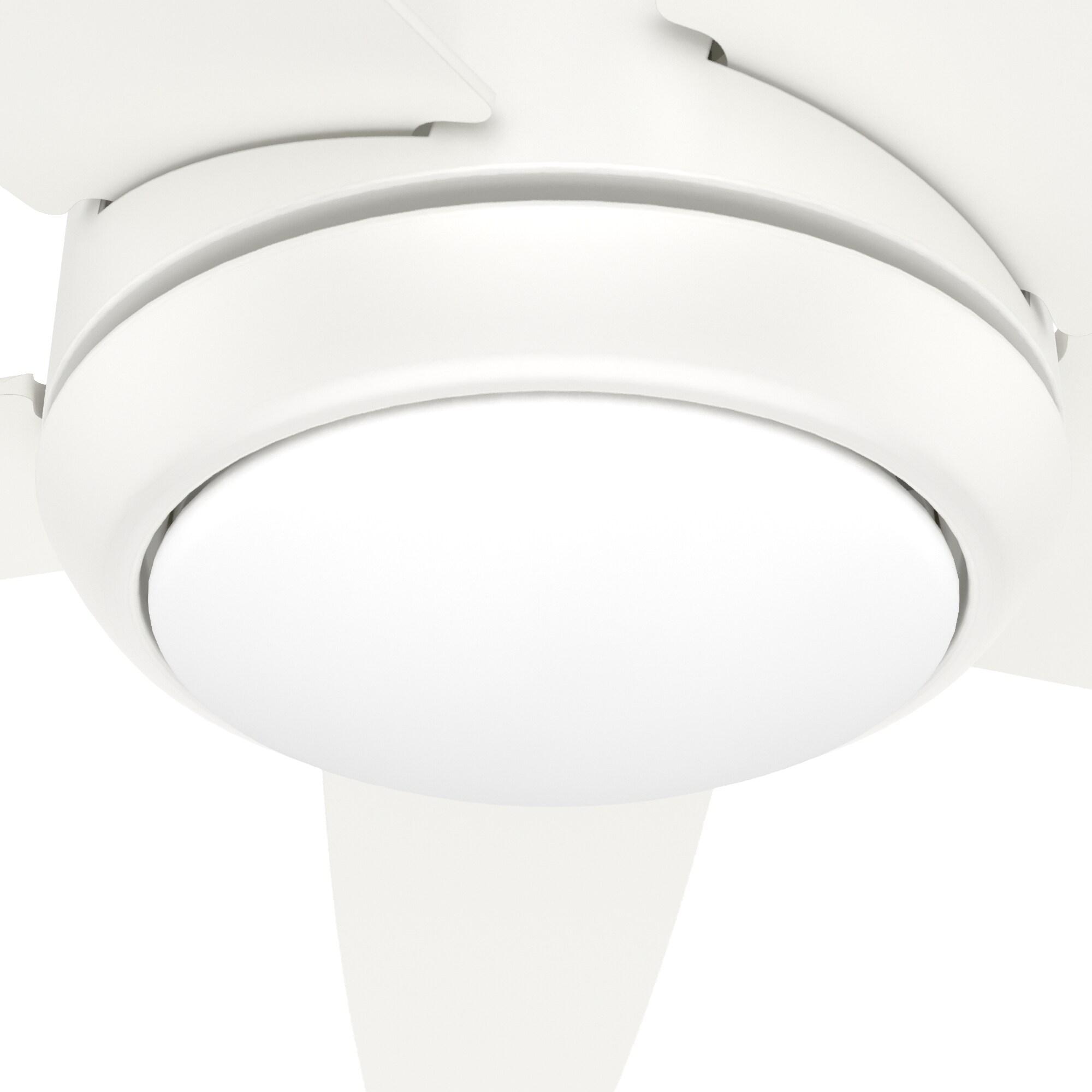 Hunter Fan 52" Zayden 5 - Blade Ceiling Fan With Lights and Remote