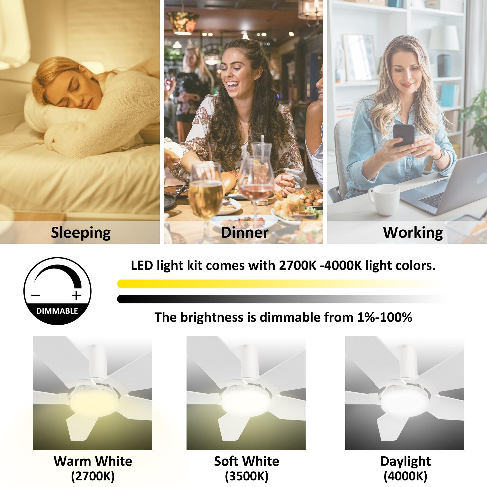 48" 5 Blade White Wifi Ceiling Fan with Light and Remote for Smart Home