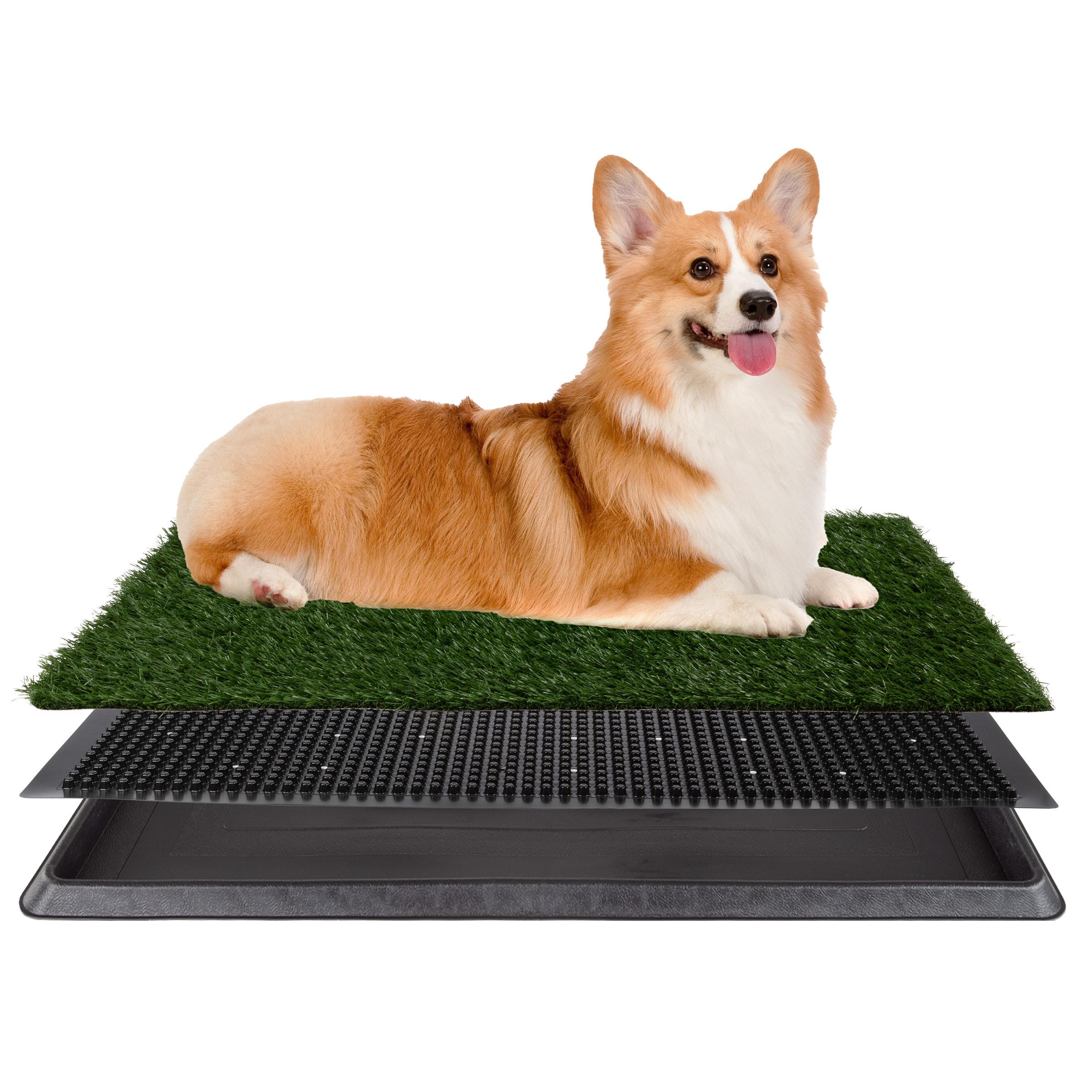 Pet Adobe Artificial Grass Potty Trainer Mat 20x25