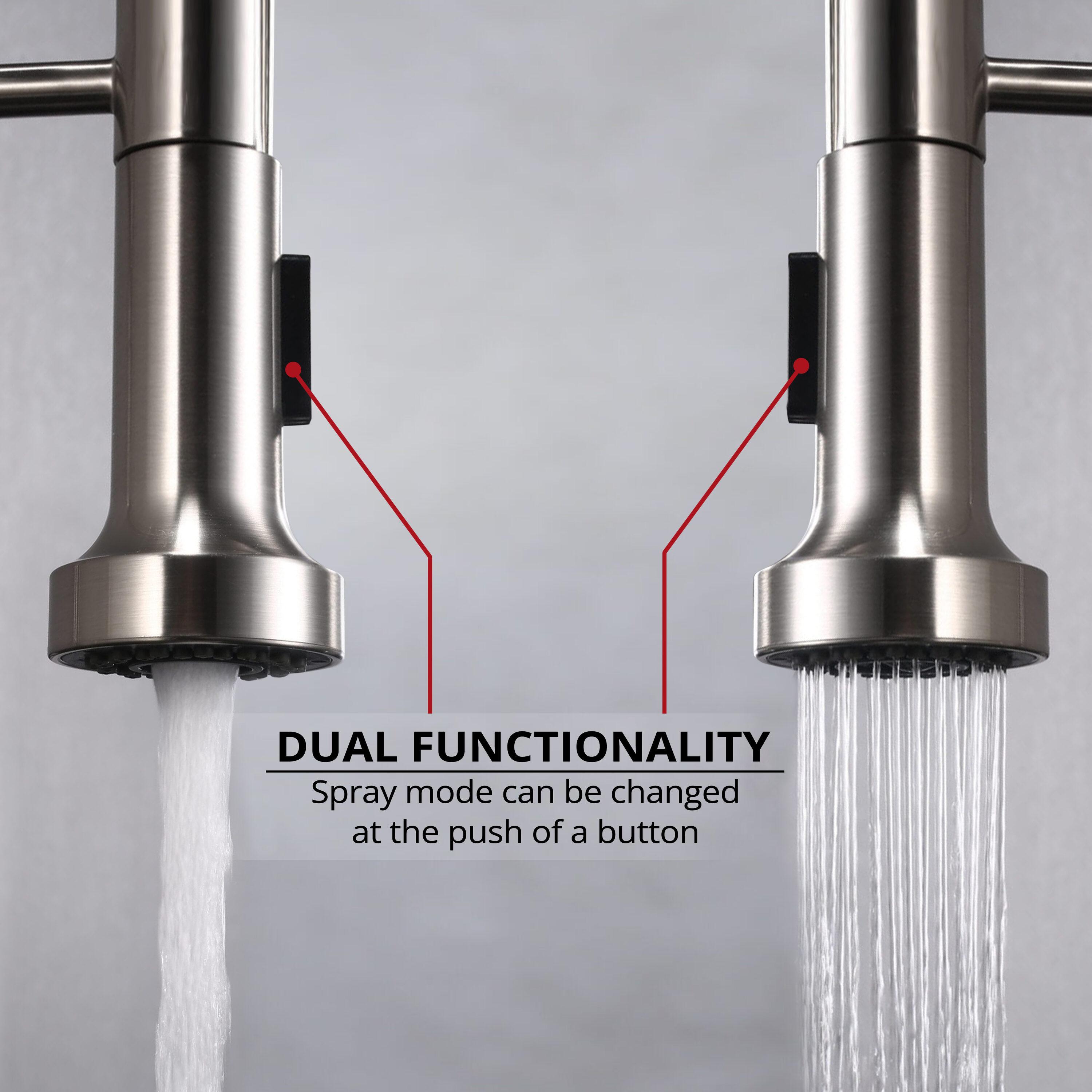 Lanuvio Brass Single-Handle Pull-Down Spray Kitchen Faucet