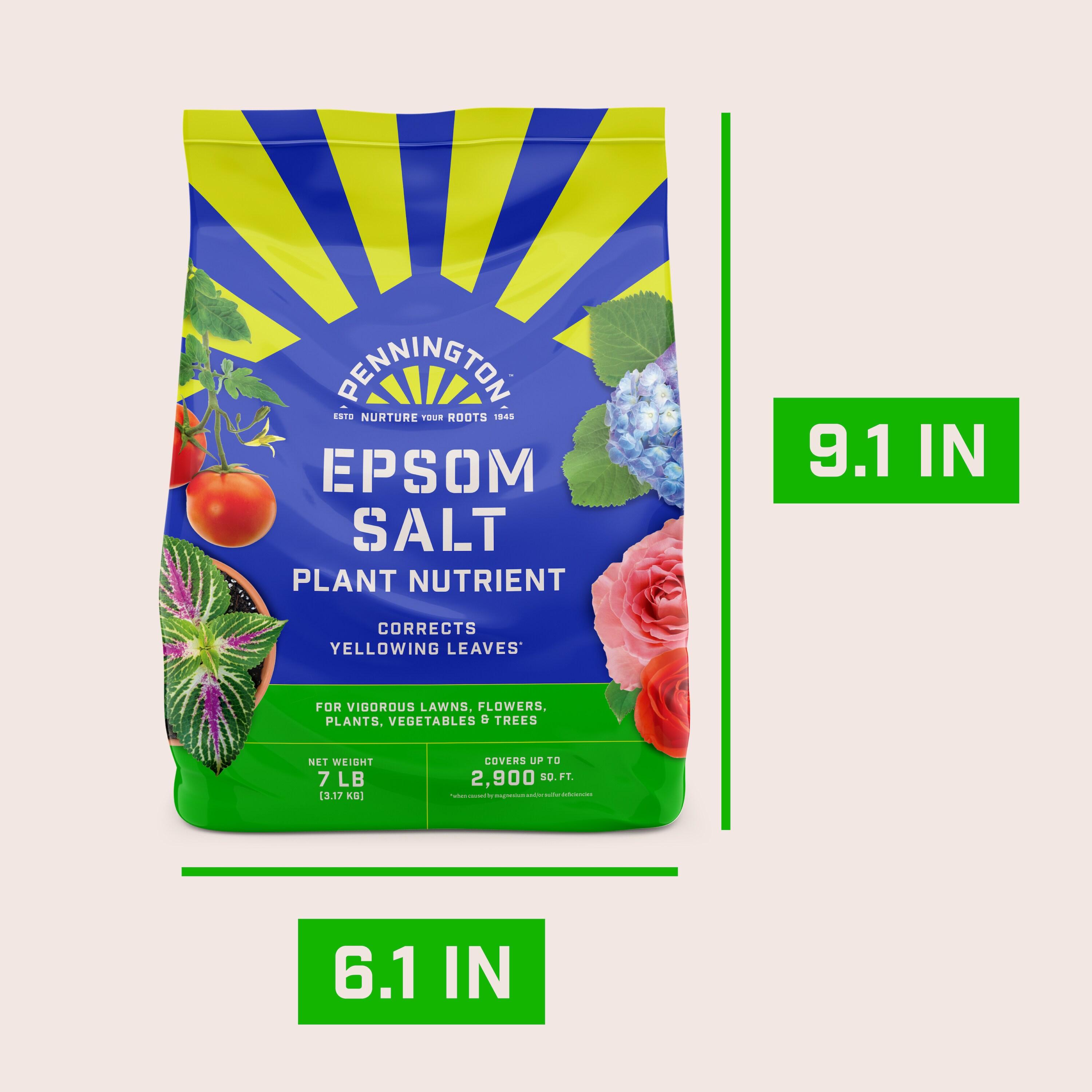Pennington Epsom Salt Plant Food Fertilizer, 7 lb.