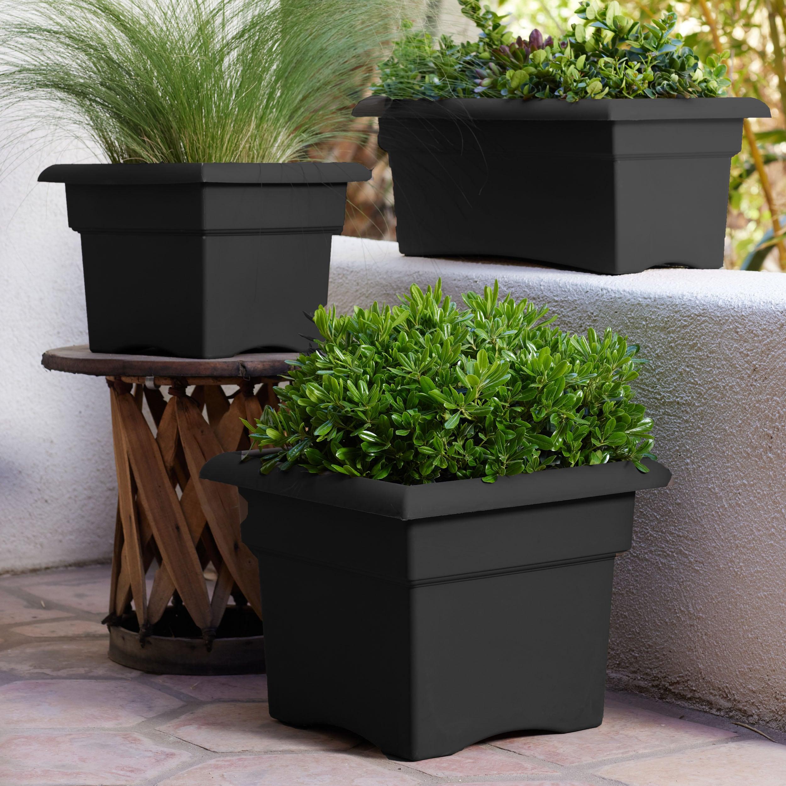 Bloem Veranda 11.25 in. H X 14 in. W X 13.98 in. D Plastic Planter Box Black