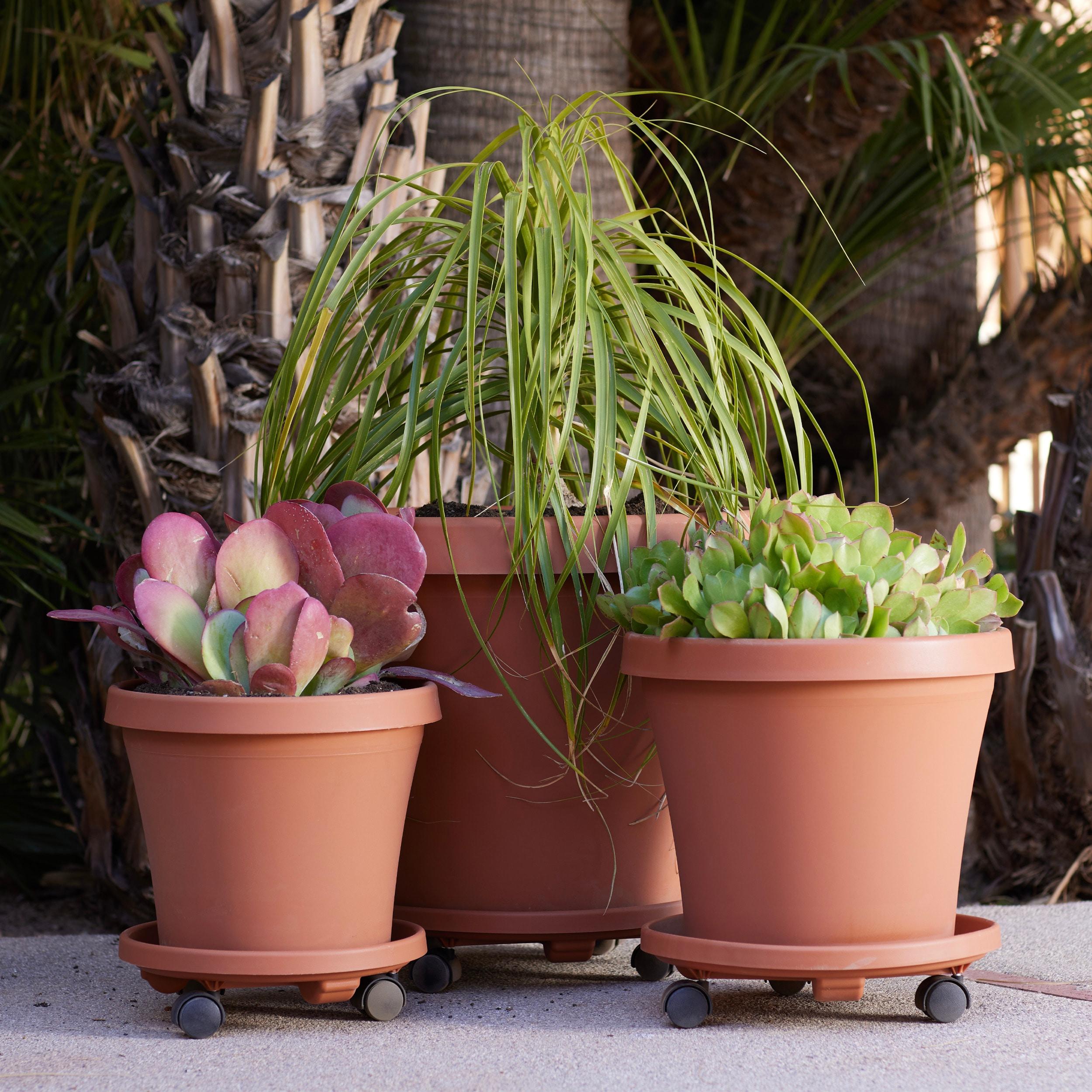 13.86" Plant Stand Caddy with Wheels and Saucer Tray Terracotta - Bloem