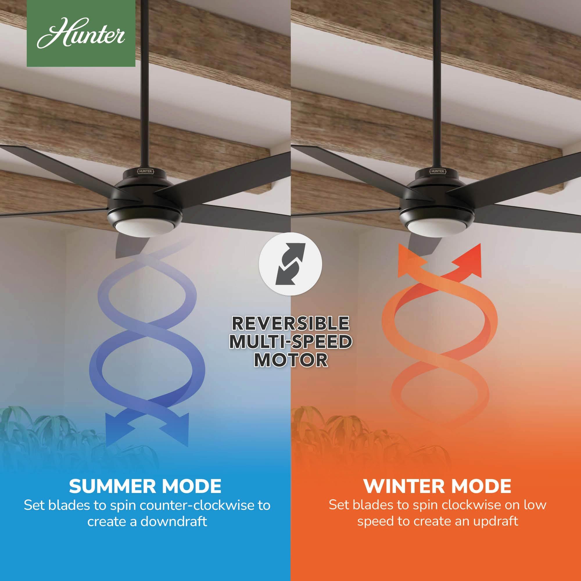 52" Zayden 5 - Blade Ceiling Fan With Lights and Remote