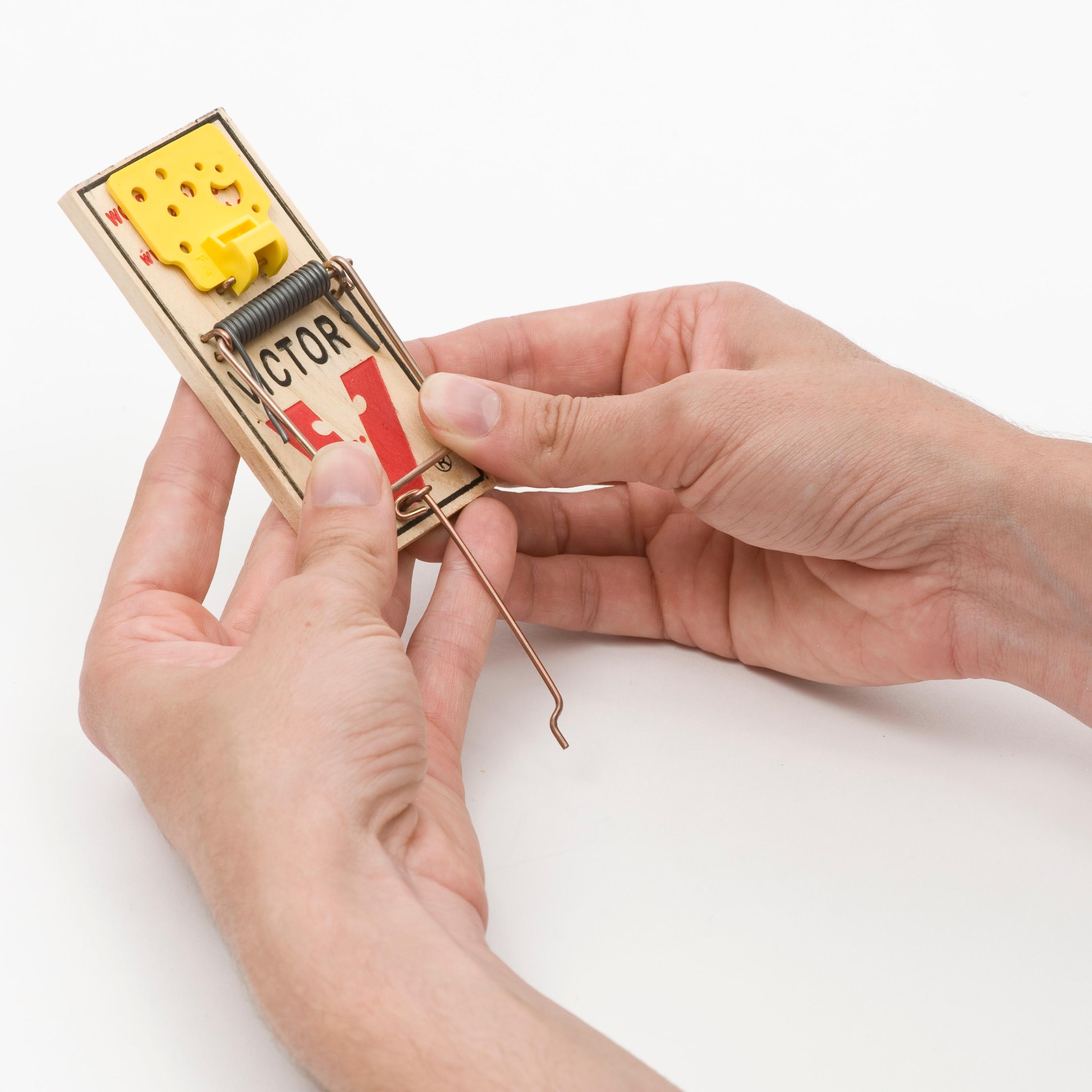 Victor Easy Set Mouse Traps - 2pk