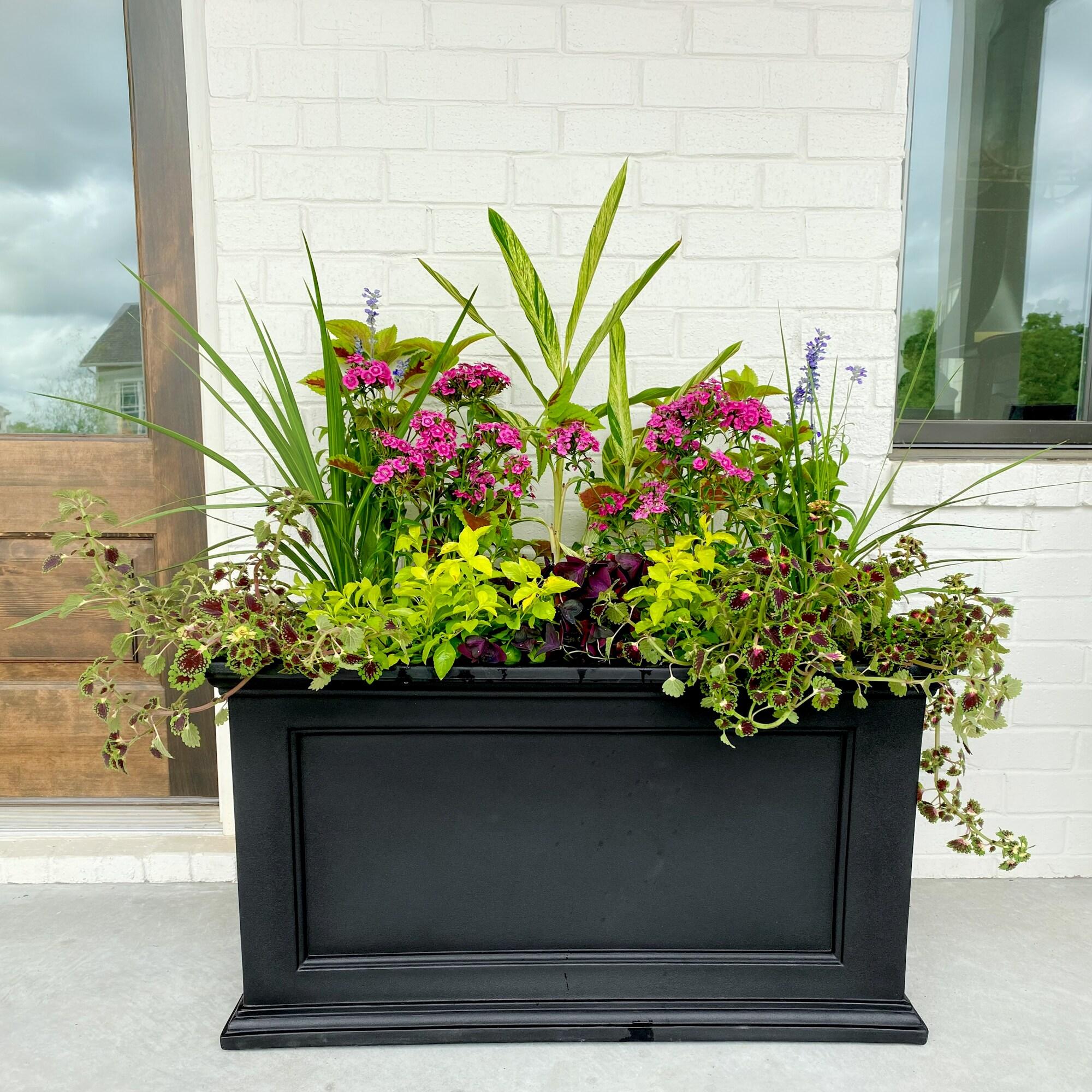 Winston Porter Anastasiya 20"x36" Resin Planter with Water Reservoir