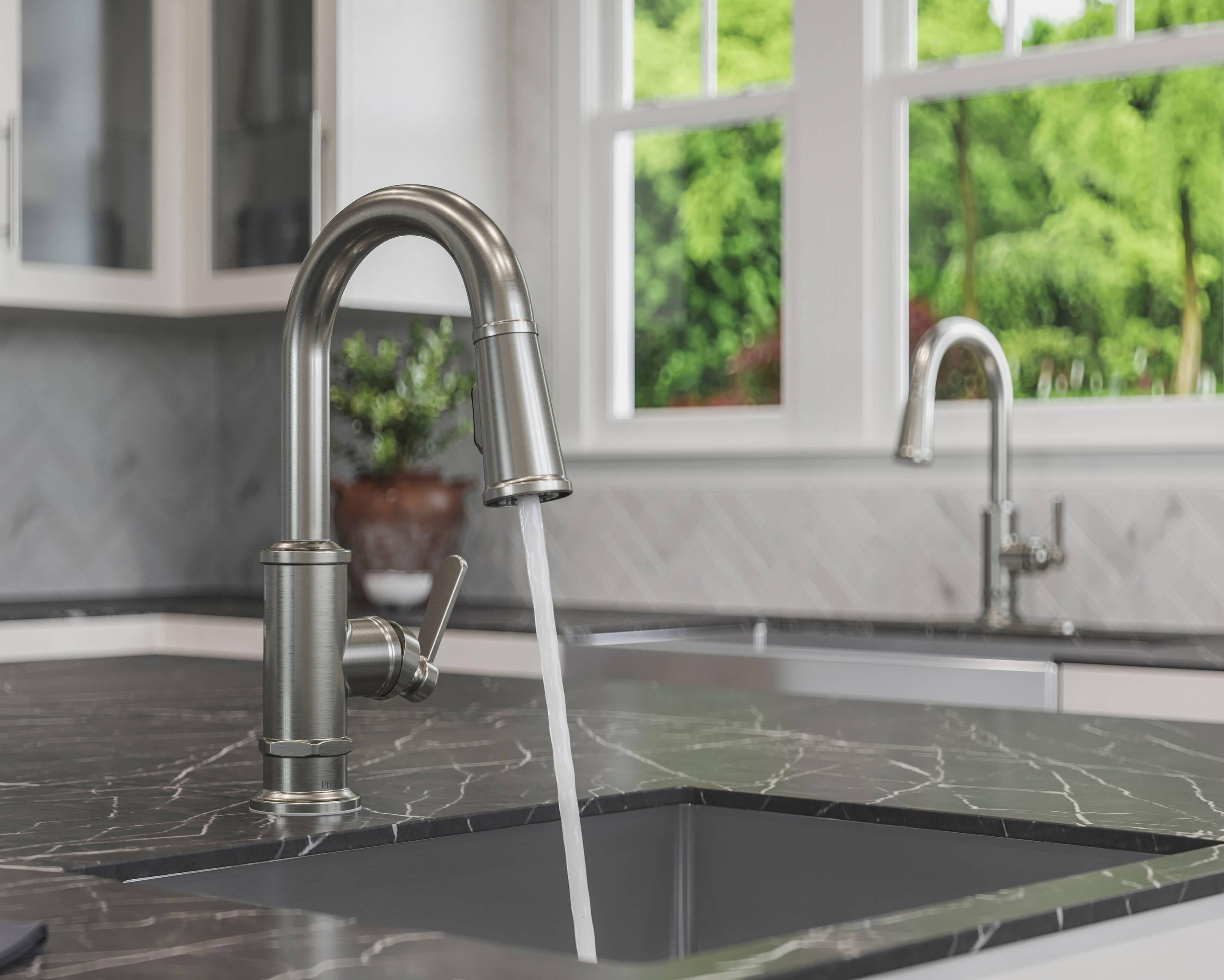 Pfister GT572-TDS Pull Down Bar Faucet