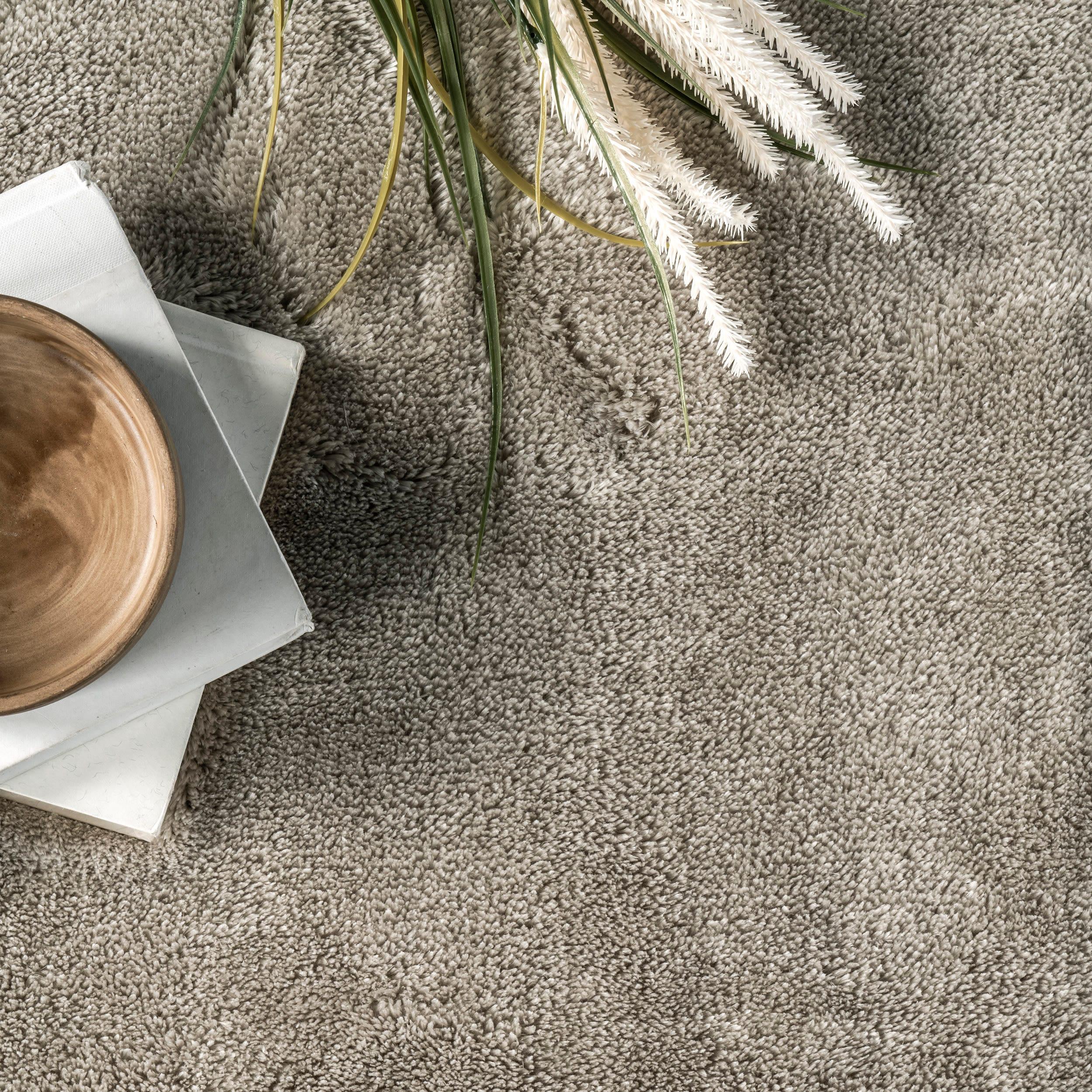Nuloom Loni Cozy Plush Solid Pet Friendly Premium Machine Washable Shag Area Rug, 5' x 8', Beige
