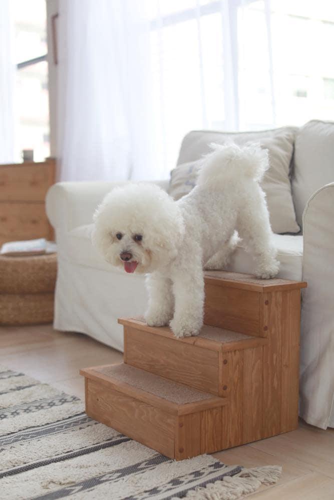 Canadian Hemlock Wooden Pet Stairs with Storage