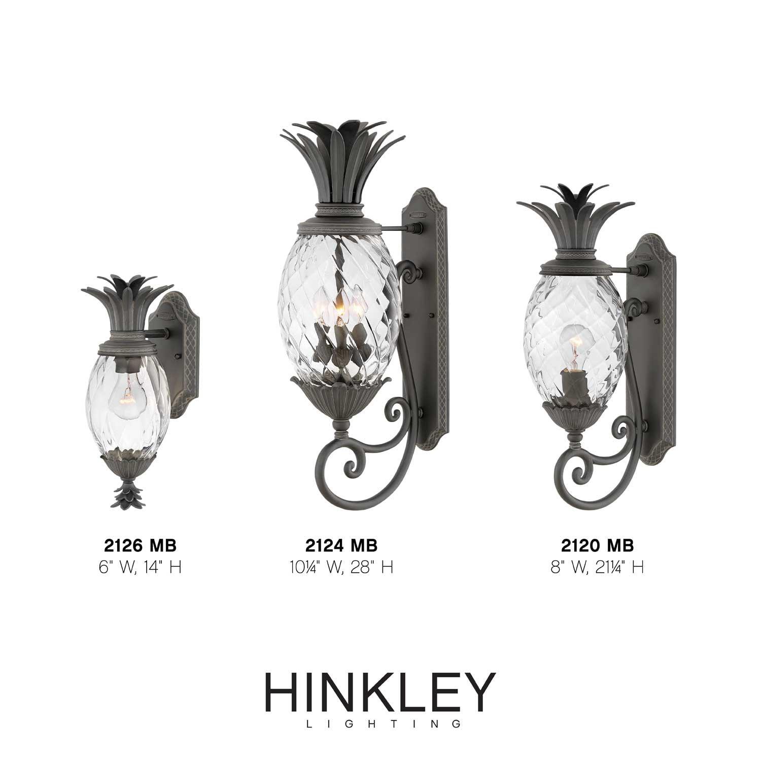 Hinkley Plantation Outdoor Wall Lantern