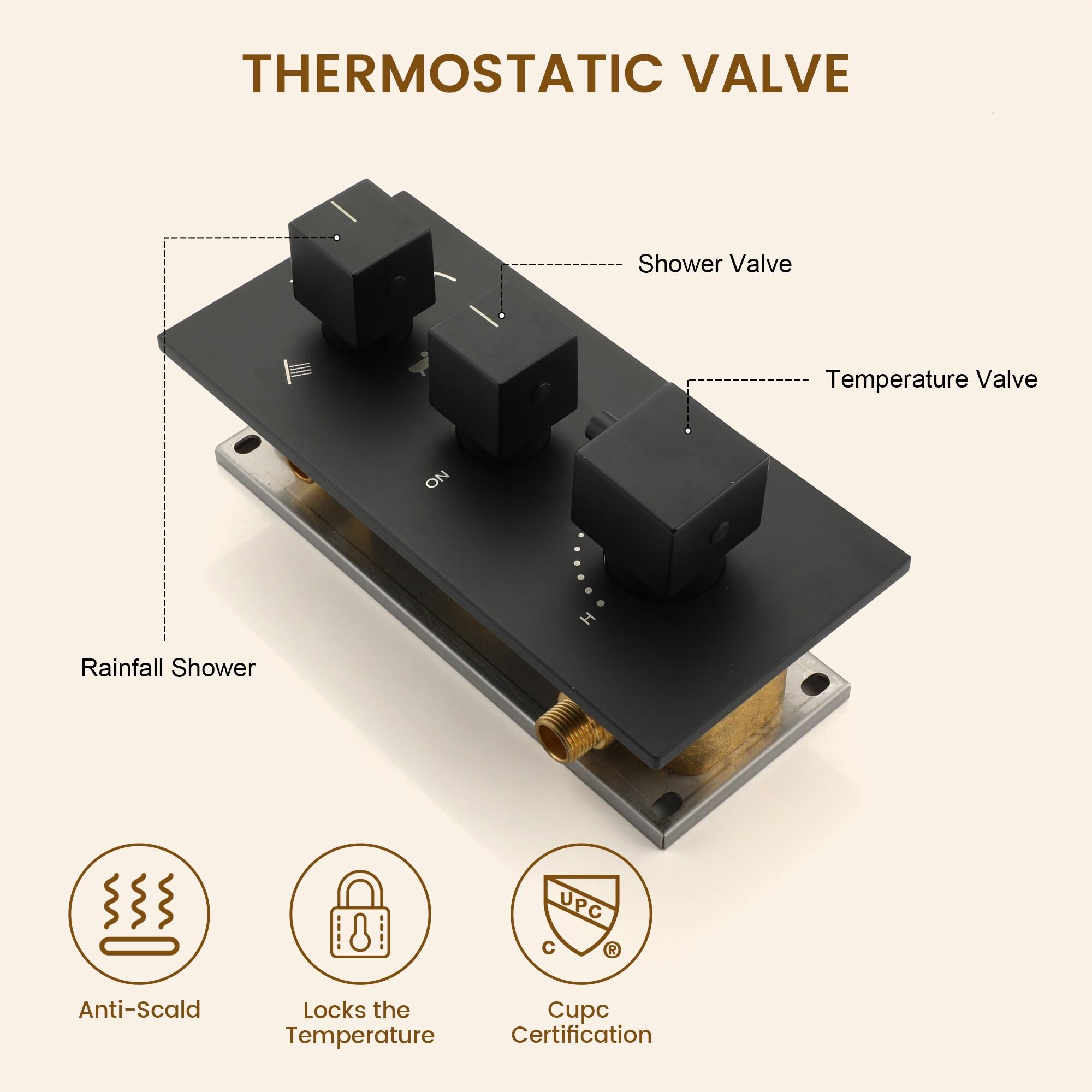 Matte Black Stainless Steel Wall Mounted Shower System with Body Jets