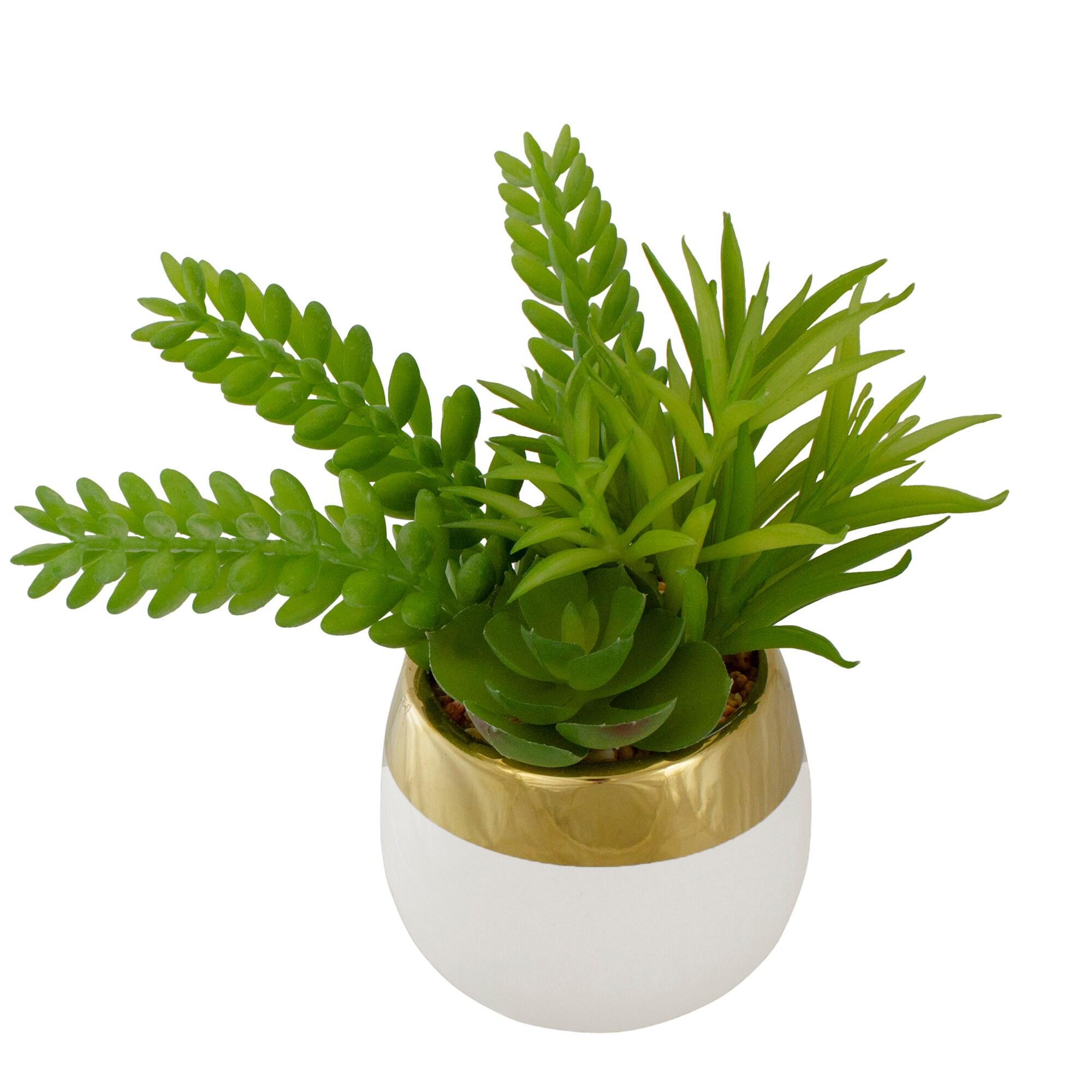 6.5'' Faux Succulent Plant in Ceramic Pot