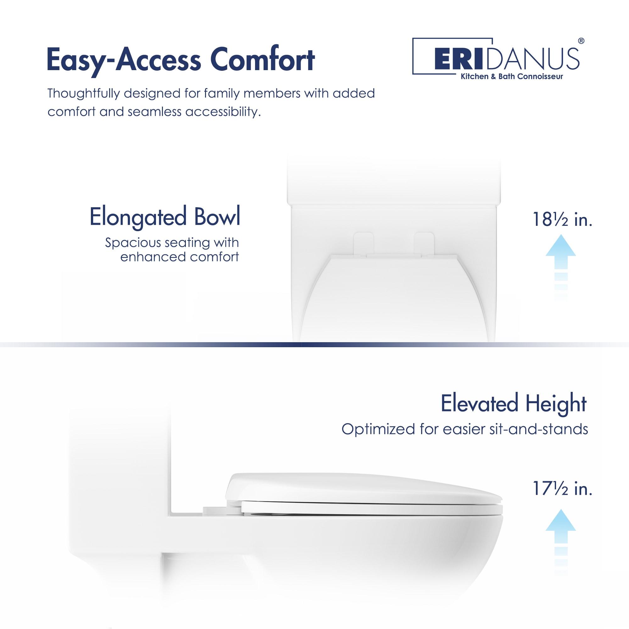 Denbigh Chair Height Elongated Comfort Height One-Piece Toilet (Seat Included)