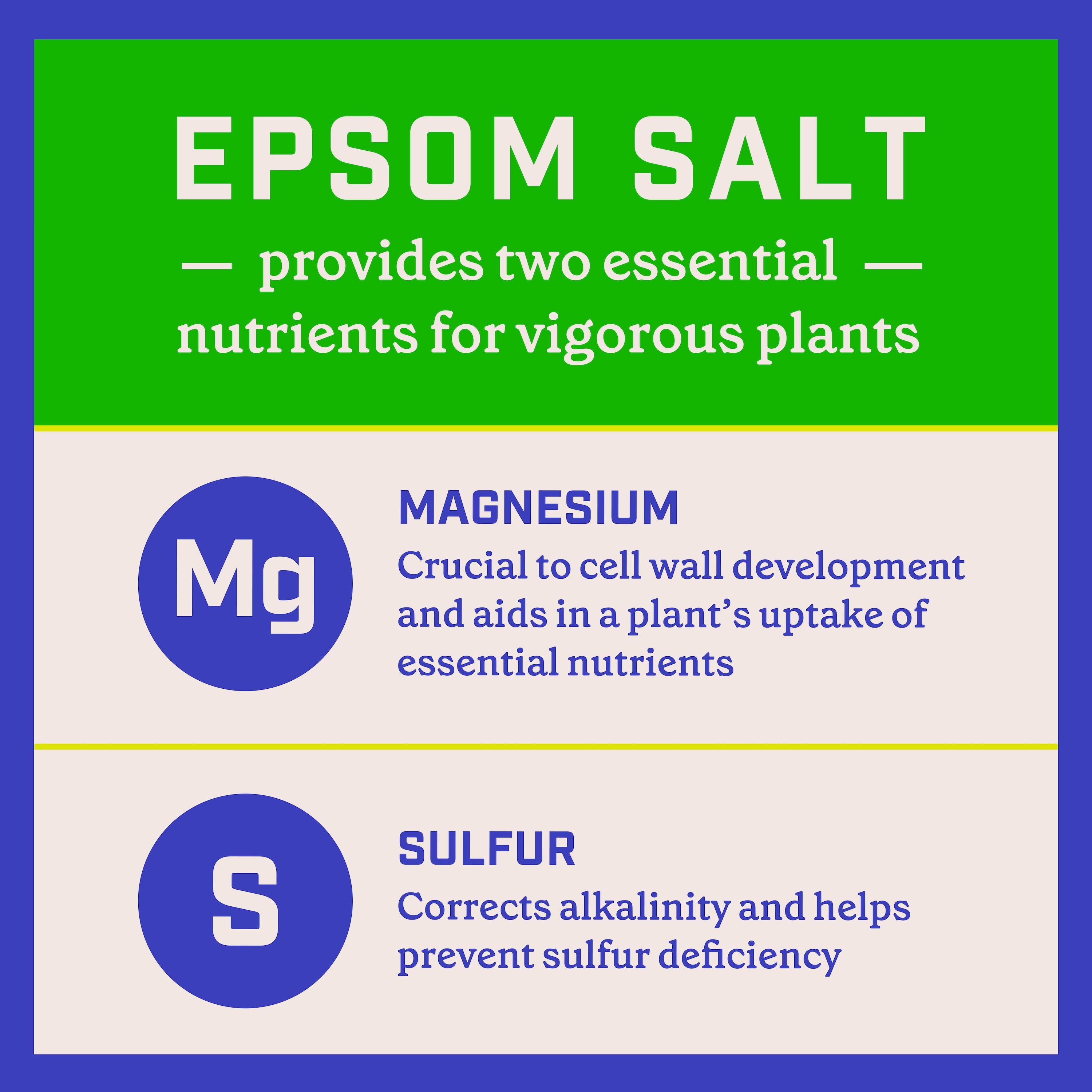 Pennington Epsom Salt Plant Food Fertilizer, 7 lb.