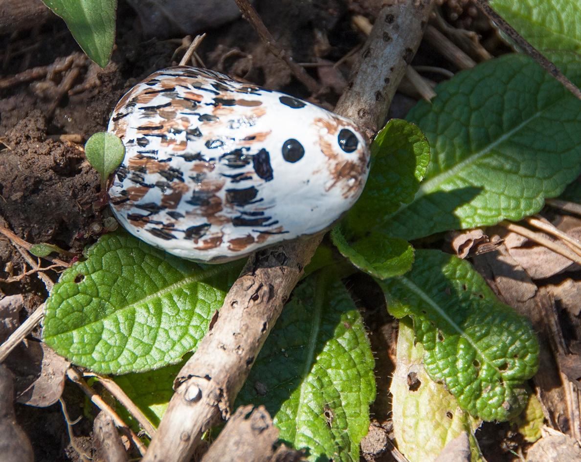 Hide & Seek Rock Painting Kit - Creativity for Kids: Paints, Stickers, Rocks, Brush, Craft Activity for Ages 6+