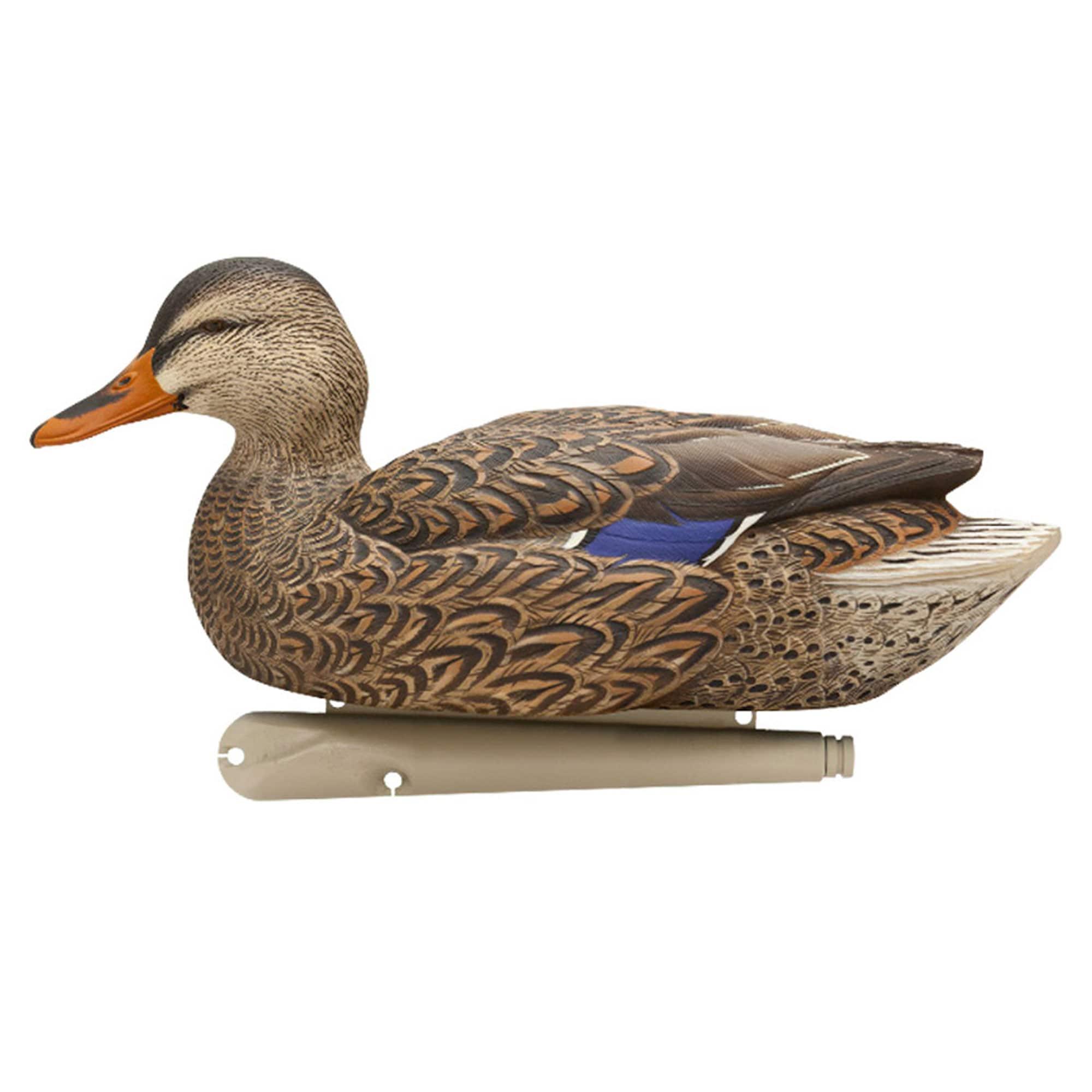 Open Box Avian X Early Season Mallard Duck Realistic Decoys, Multicolor, 6pk