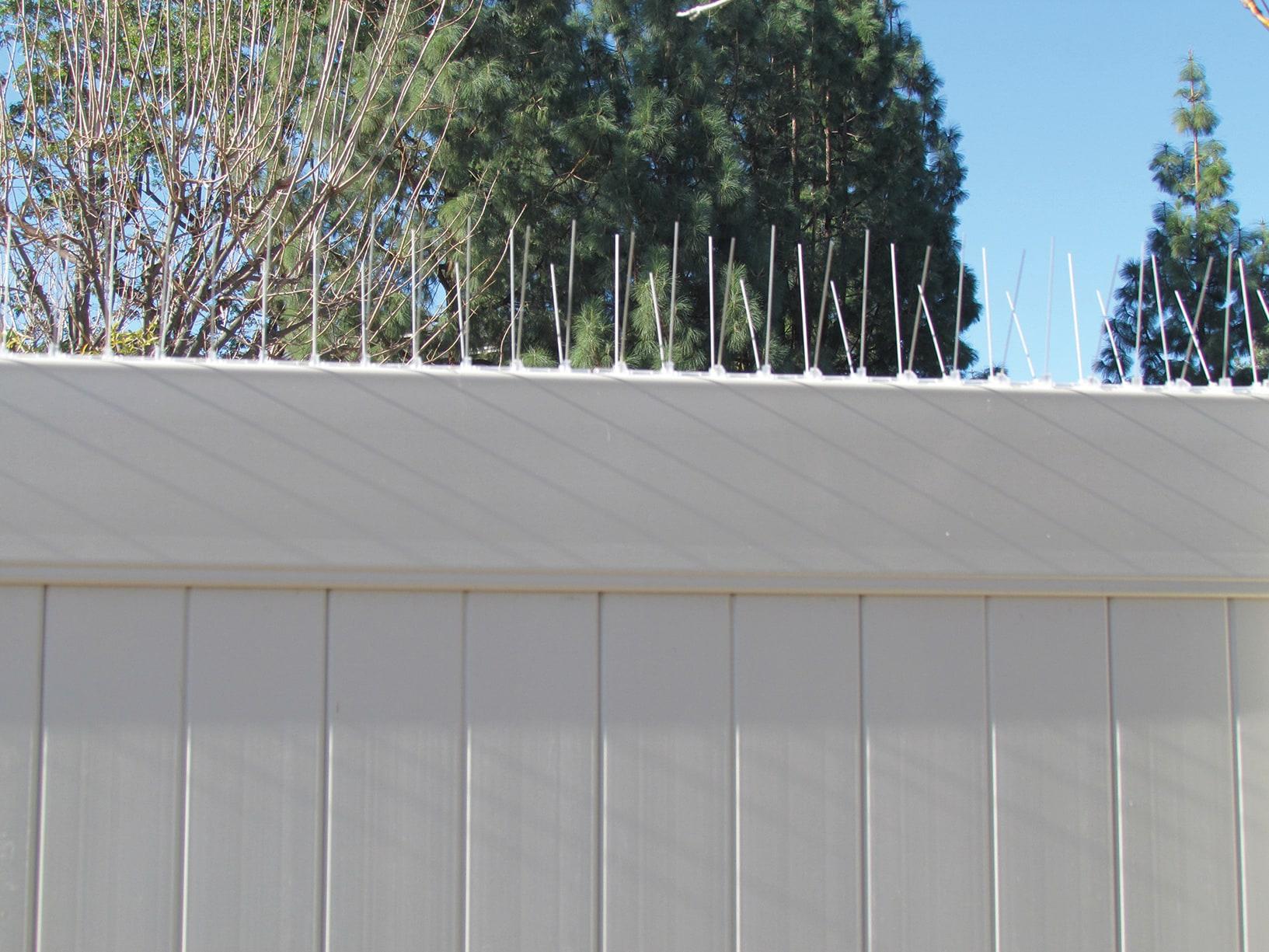 Bird-B-Gone Enviro Spike Stainless Steel Bird Spike, Deterrent Repellent, 10 ft. x 5 in.