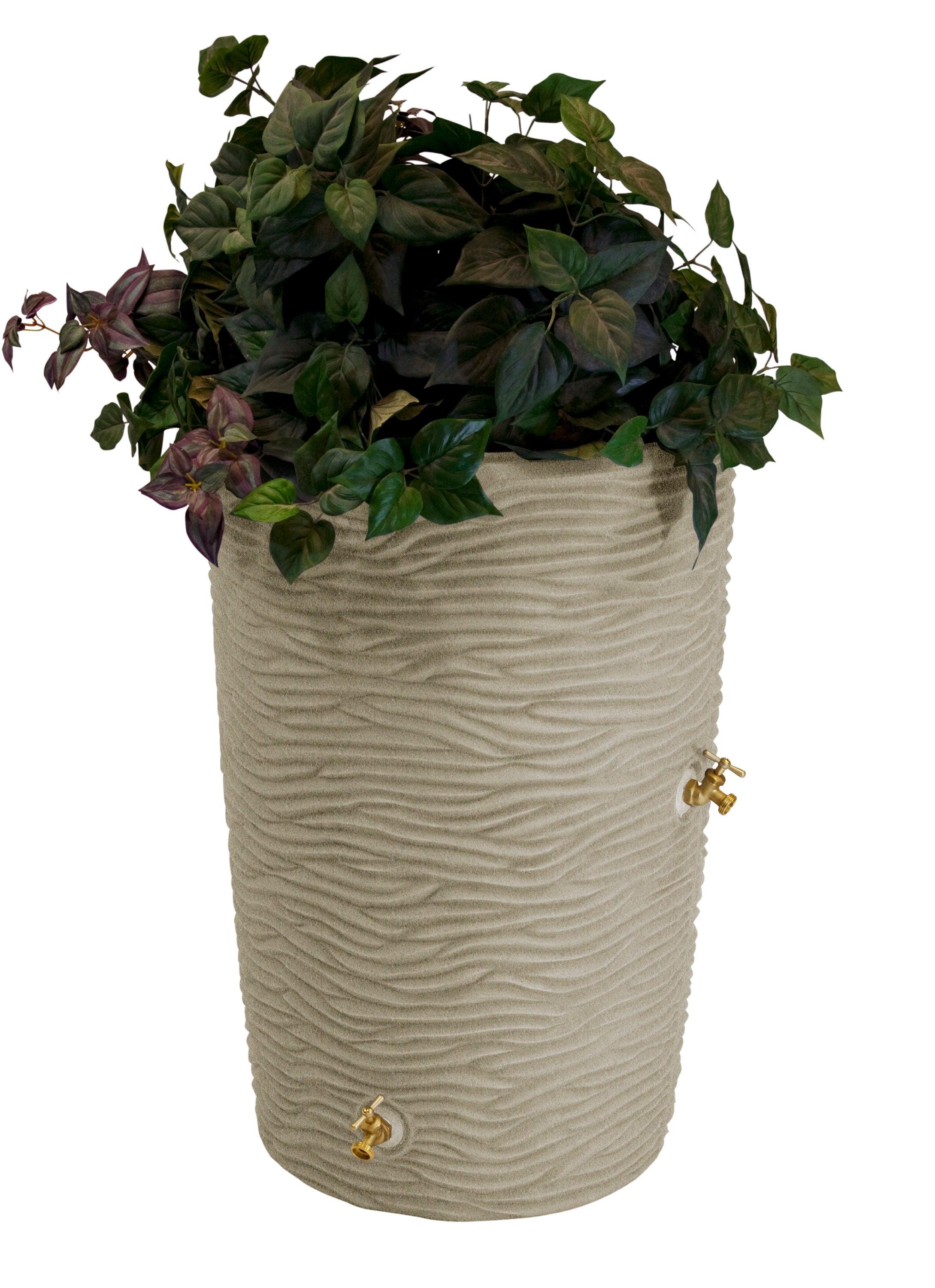 Good Ideas Impressions Palm 50-Gallon Rain Barrel - Sandstone
