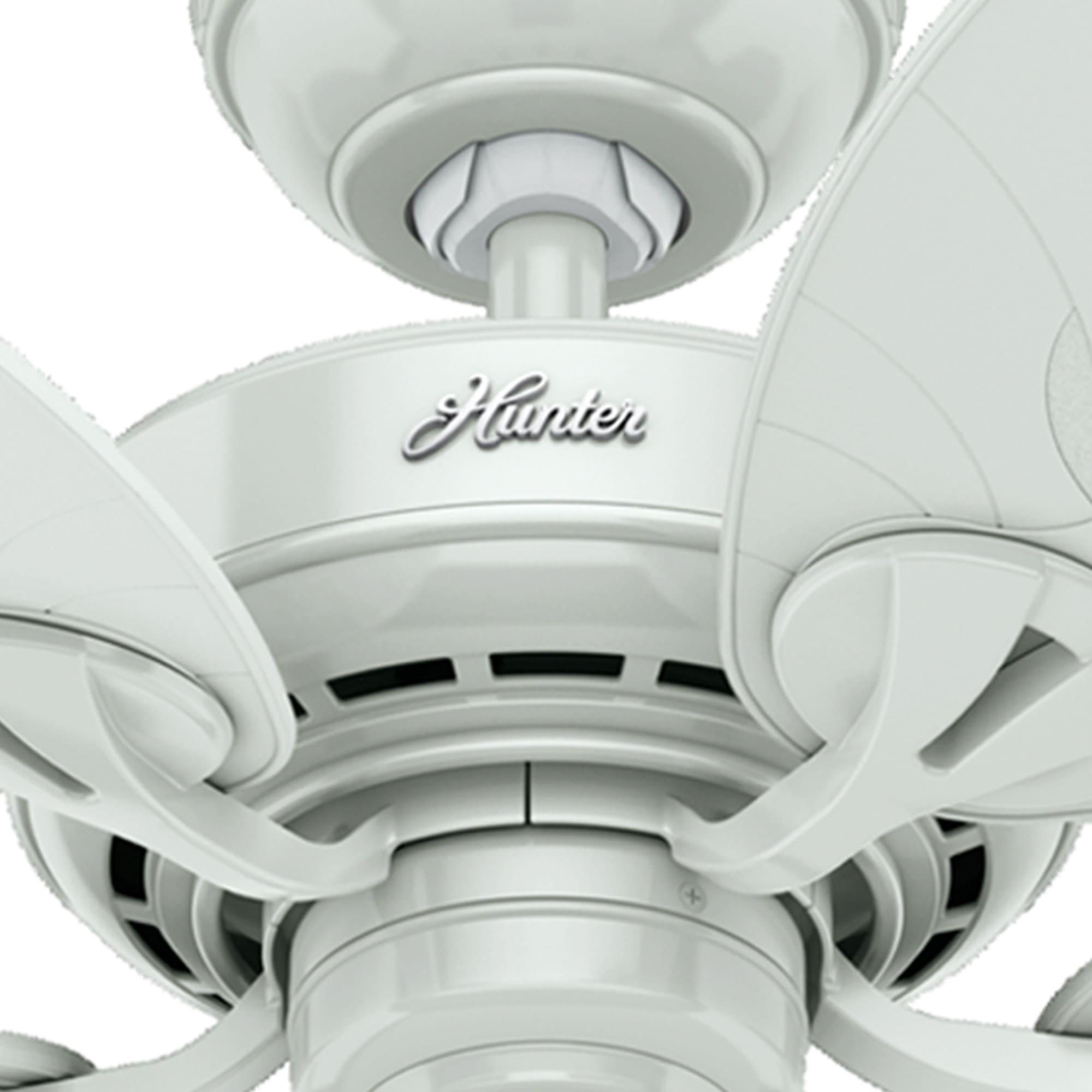 54" Bayview 5 - Blade Outdoor Tropical Leaf Ceiling Fan with Pull Chain