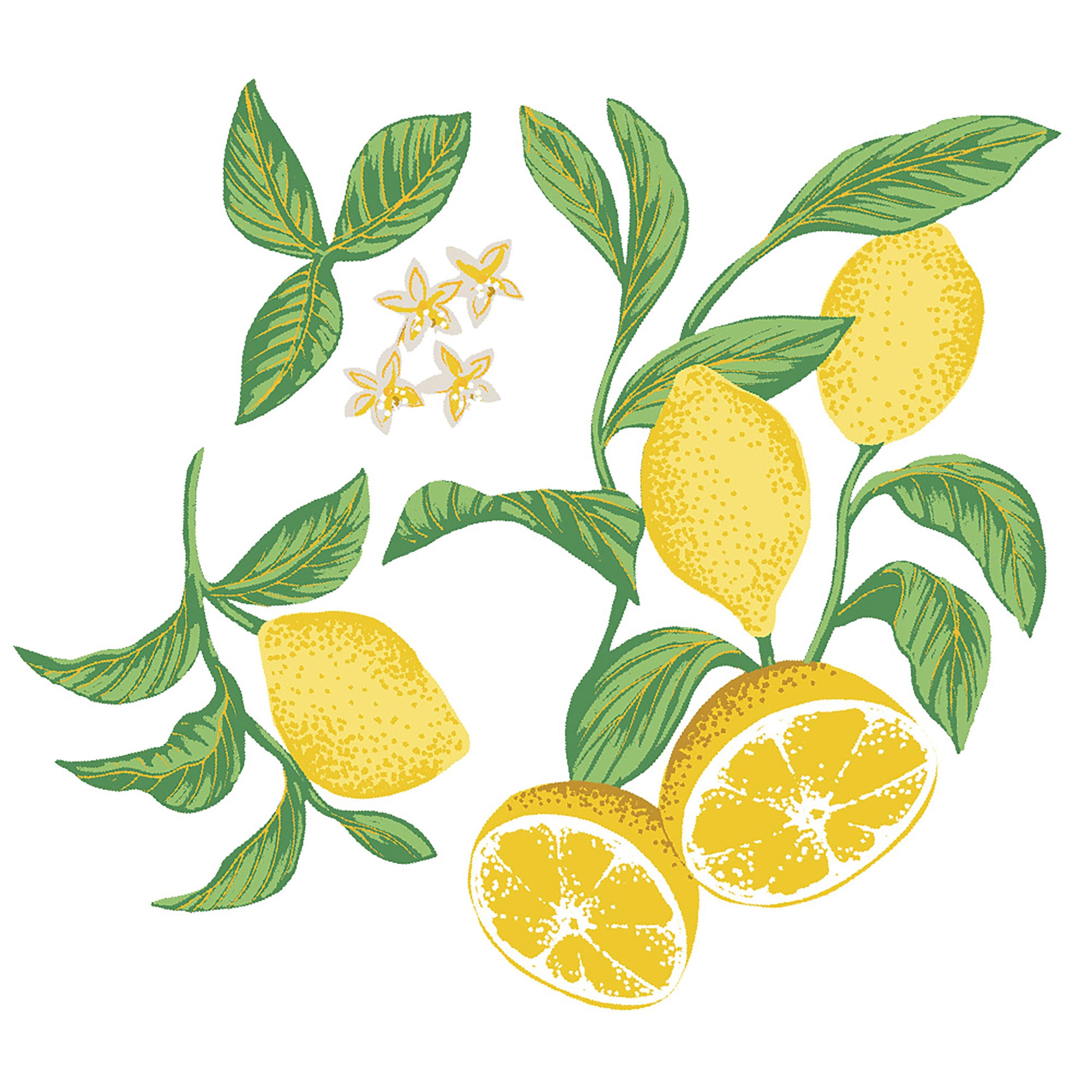 Yellow and Green Lemon Peel and Stick Wall Decal Set