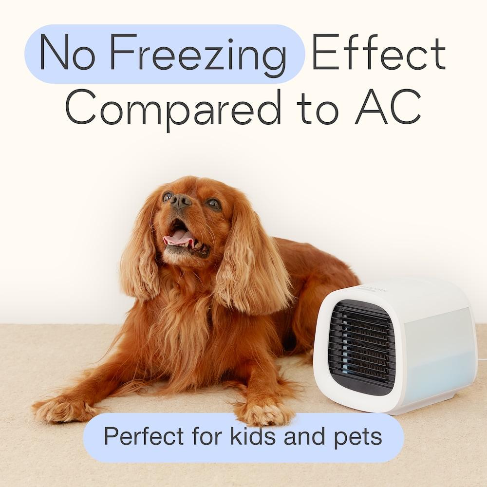 Evapolar Evapolar EvaChill / Personal Evaporative Air Cooler / Portable Air Conditioner