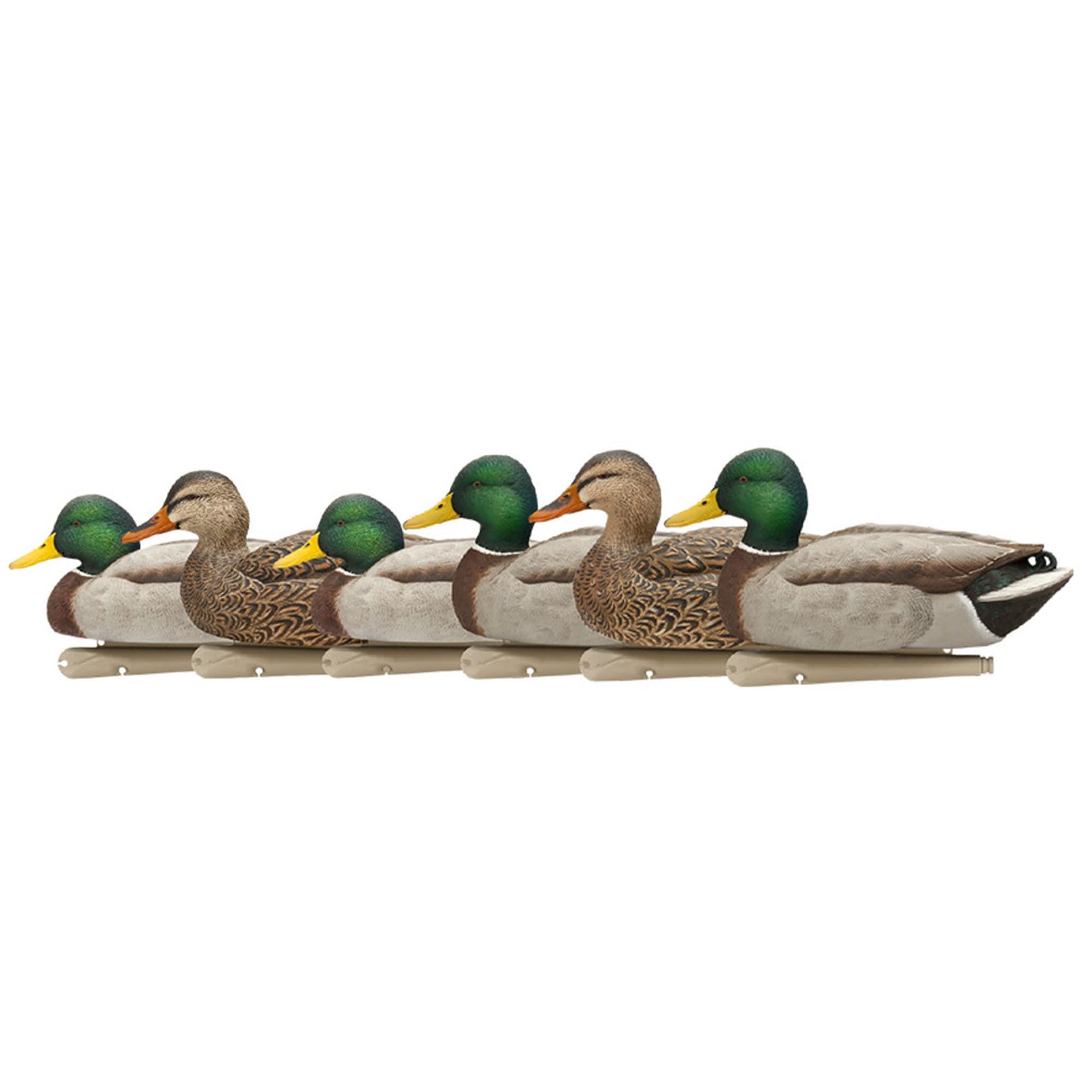 Open Box Avian X Early Season Mallard Duck Realistic Decoys, Multicolor, 6pk
