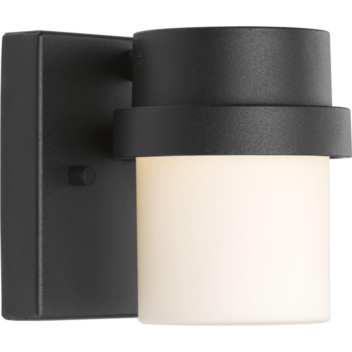 Progress Lighting Z-1060 1-Light Outdoor Wall Light, Black Finish, Glass Shade