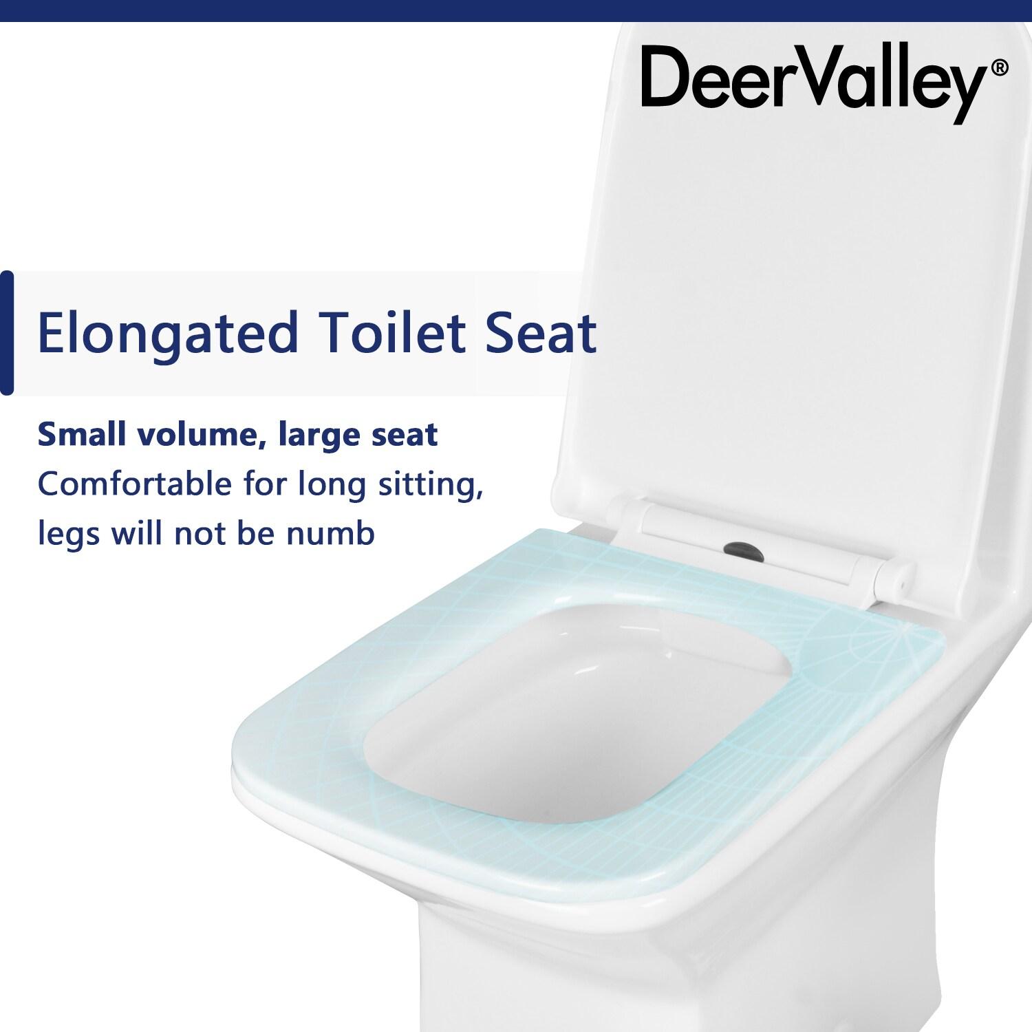 Ace Dual-Flush Square Seat One-Piece Floor Mounted Toilet with White Glazed Surface(Seat Included)