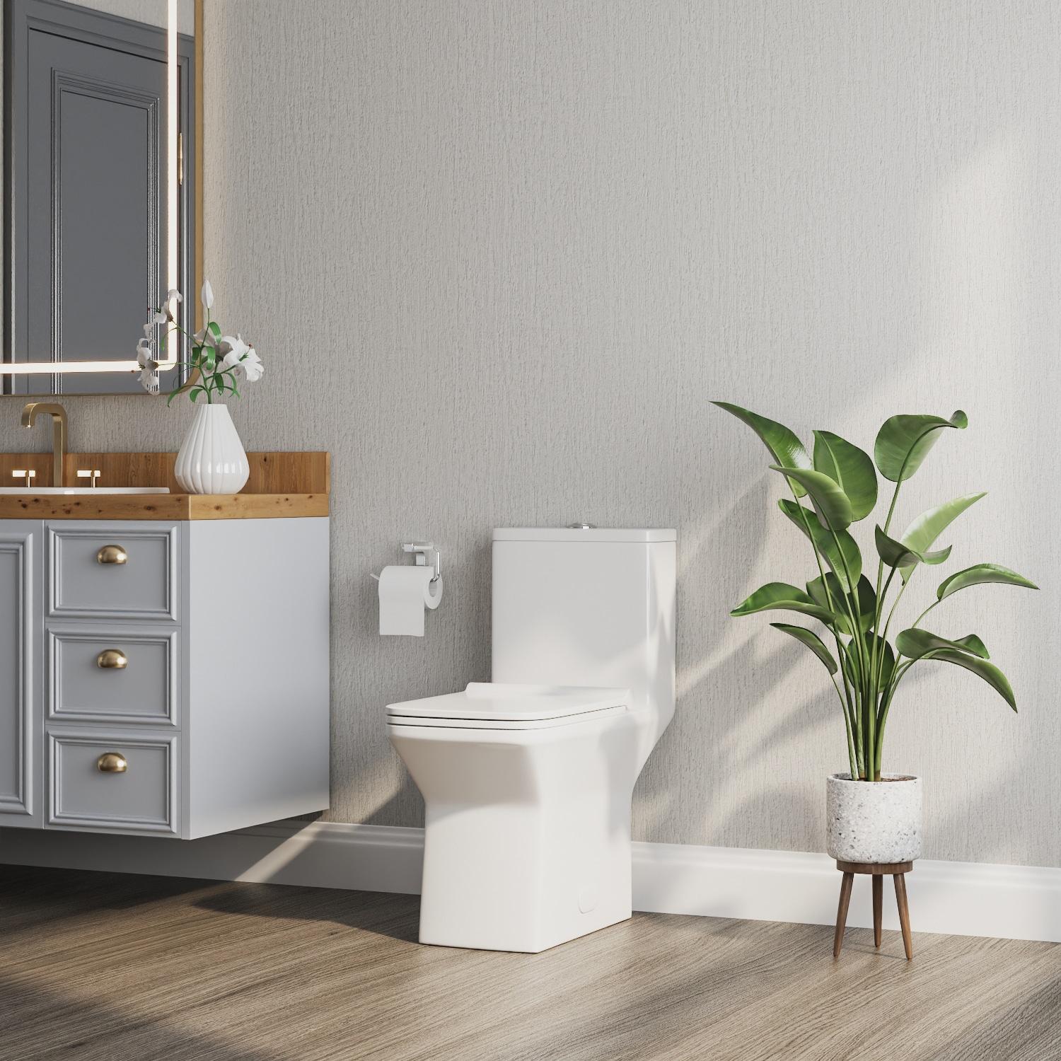 Ace Dual-Flush Square Seat One-Piece Floor Mounted Toilet with White Glazed Surface(Seat Included)