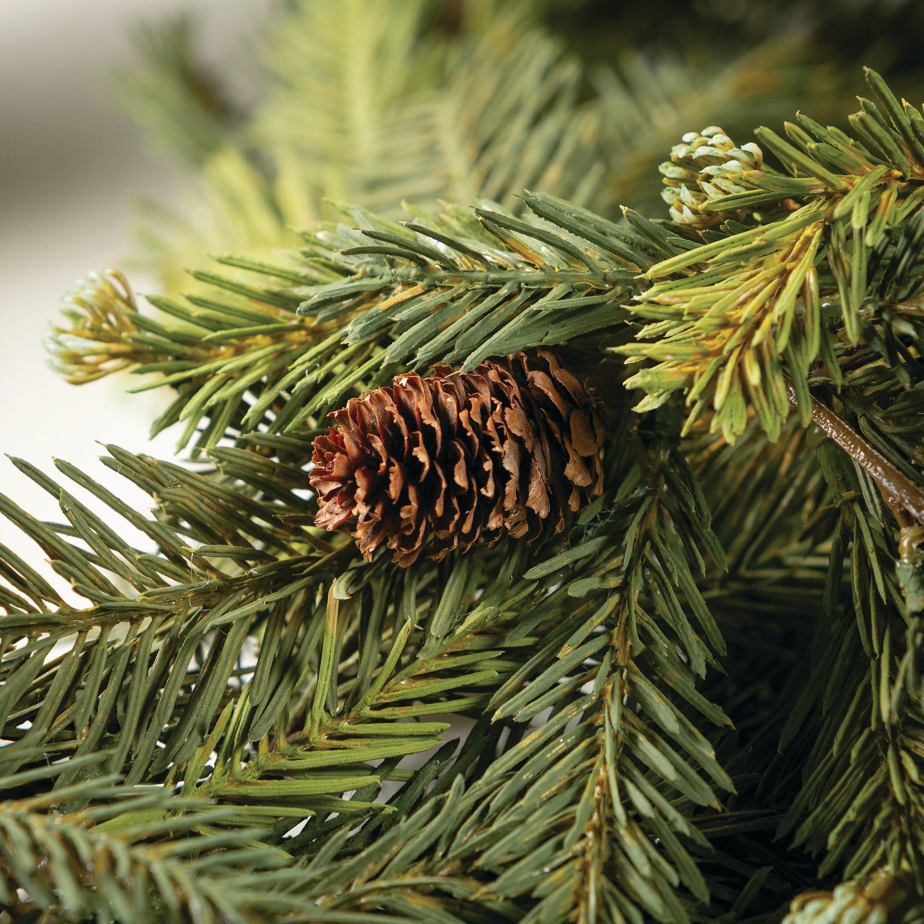 Sullivans 72" Artificial Alpine Fir Garland, Green