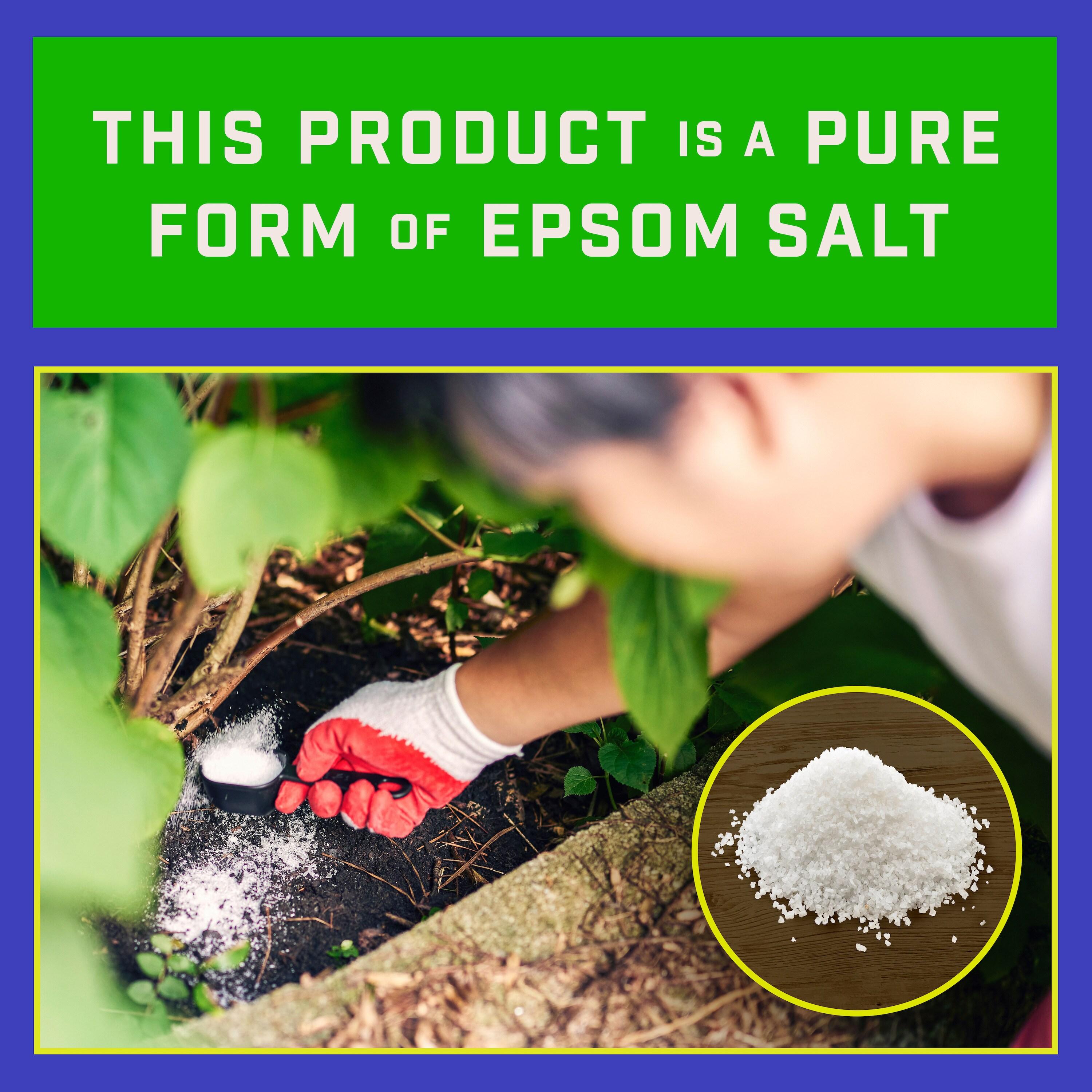 Pennington Epsom Salt Plant Food Fertilizer, 7 lb.