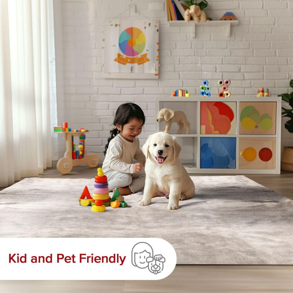 Nuloom Loni Cozy Plush Solid Pet Friendly Premium Machine Washable Shag Area Rug, 5' x 8', Beige