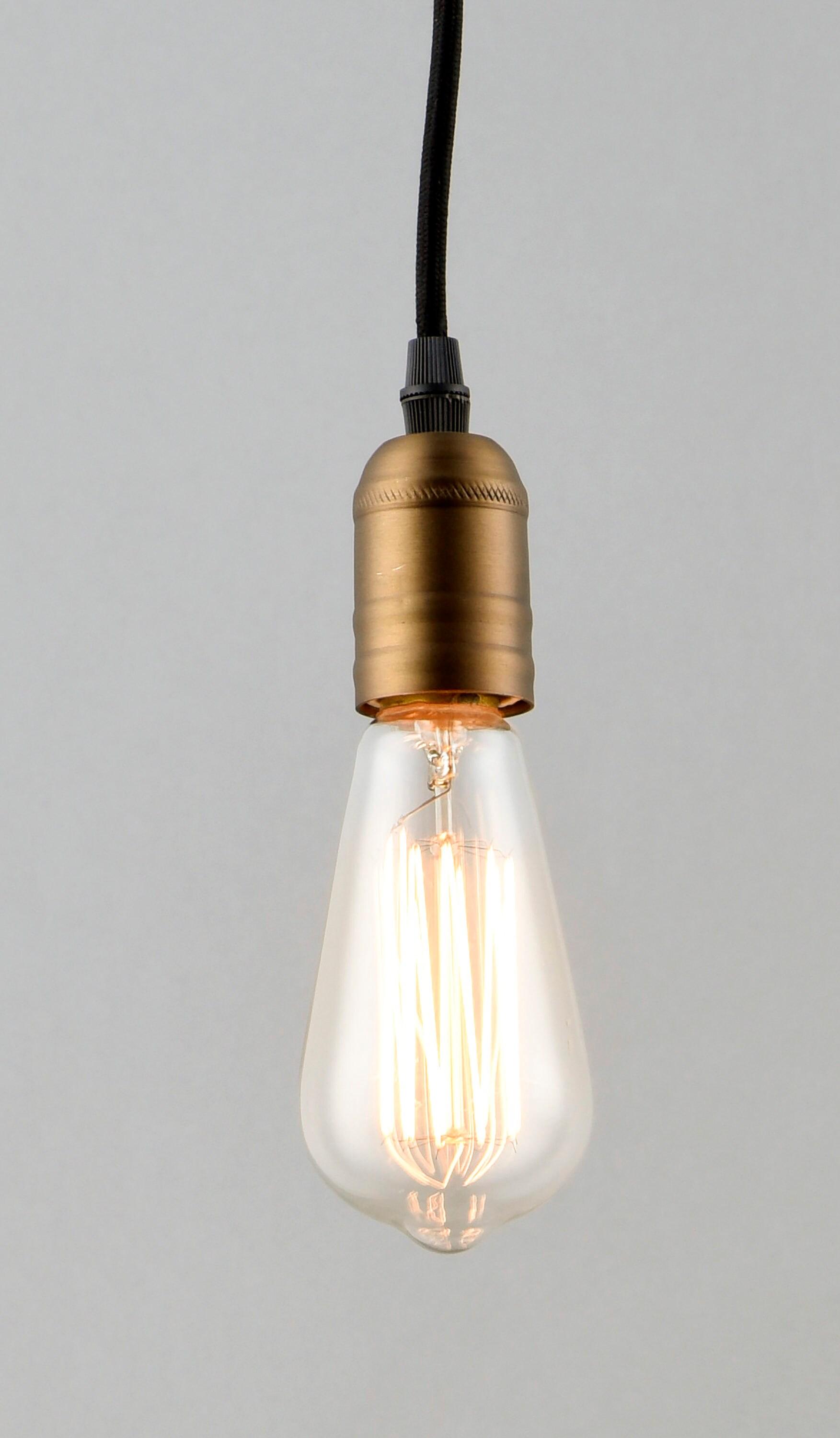 Maxim Lighting Early Electric 1 - Light Pendant in  Black/Antique Brass