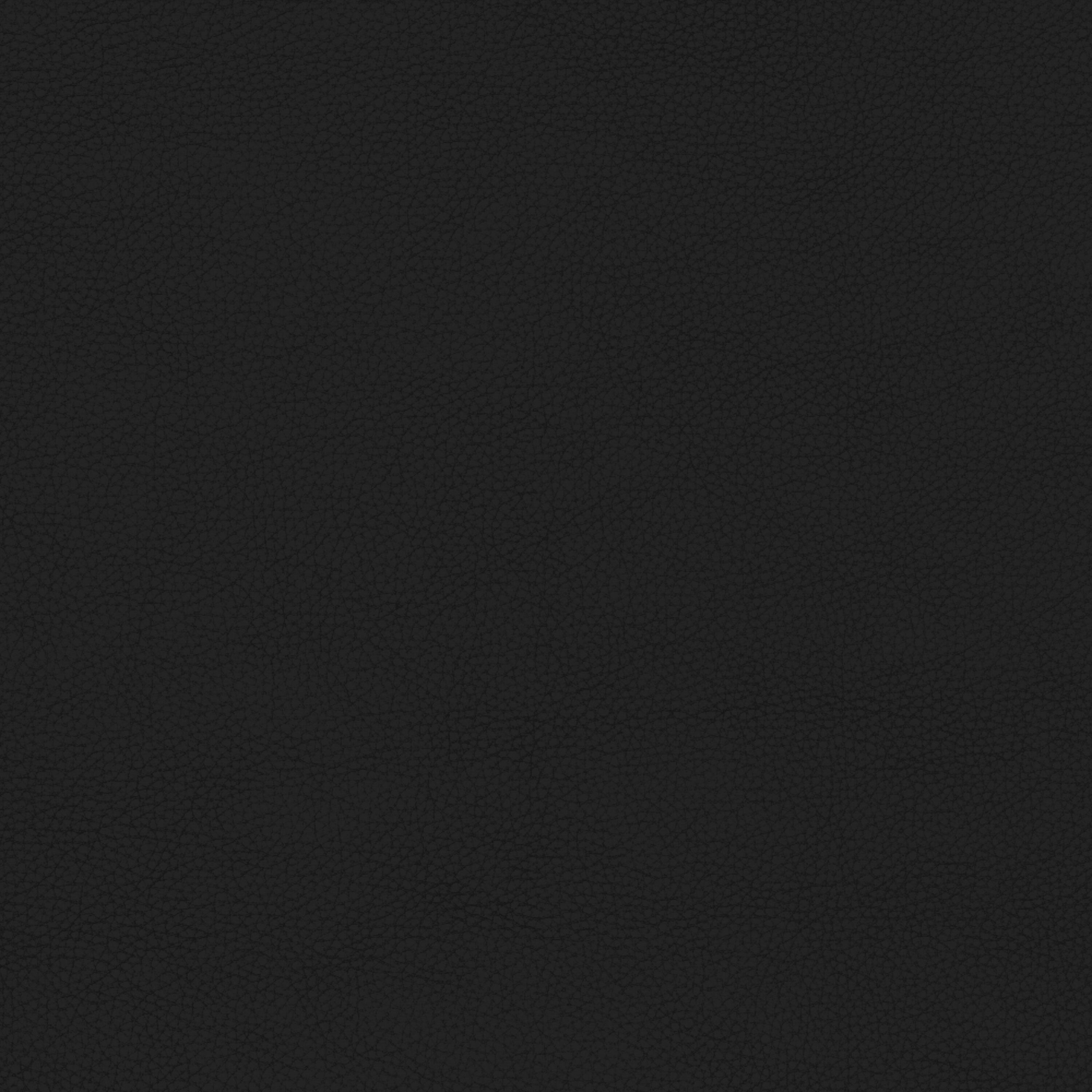 Martha Stewart Jones Upholstered Stationary Swivel Home Office Chair by Martha Stewart