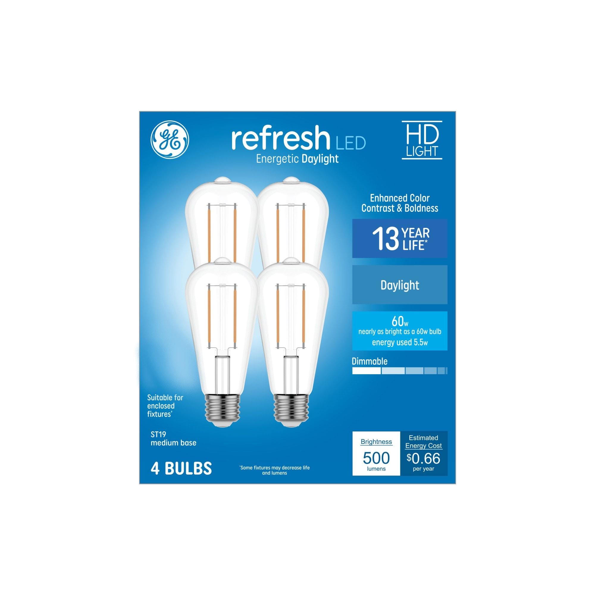 GE Refresh HD 60-Watt EQ ST19 Daylight Medium Base (e-26) Dimmable LED Decorative Light Bulb (4-Pack) Item #4977789 Model #9313022