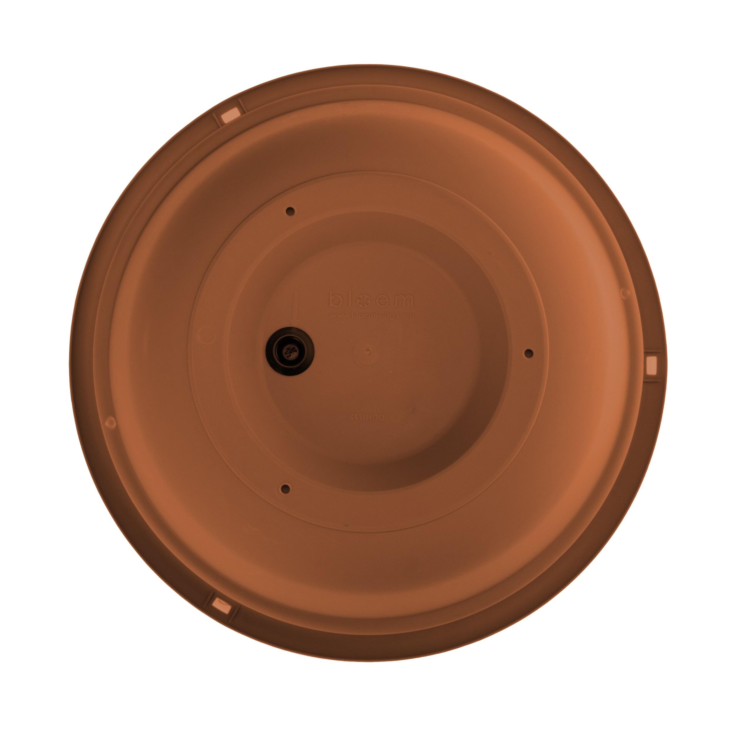 Bloem 6.8 in. H X 12.4 in. D Resin Dura Cotta Hanging Basket Terracotta Clay