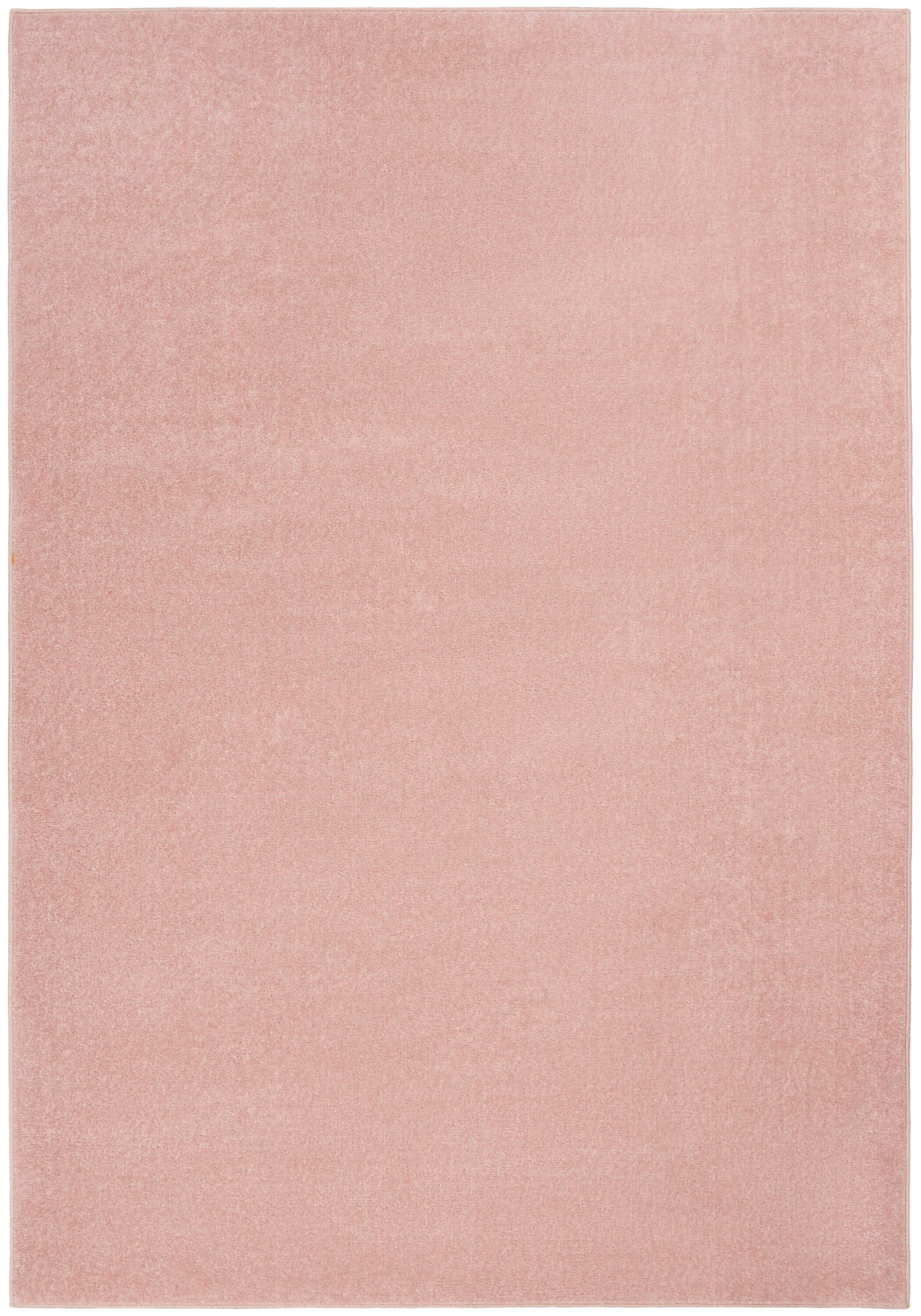 Nourison Essentials Easy Care Indoor Outdoor Area Rug - Pink 6' x 9'