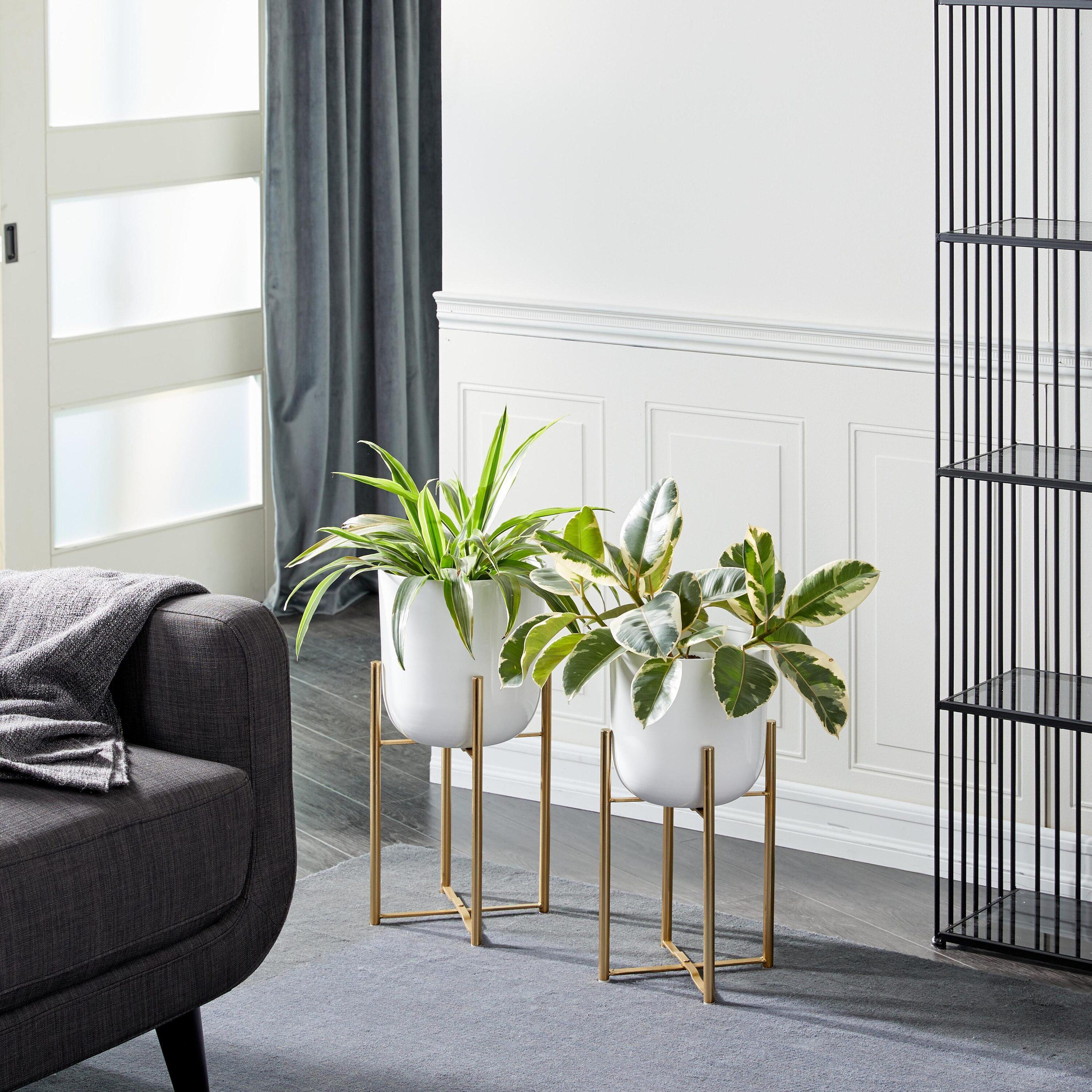 CosmoLiving by Cosmopolitan 2 - Piece Metal Dome Indoor Outdoor Planter with Removable Stand Set