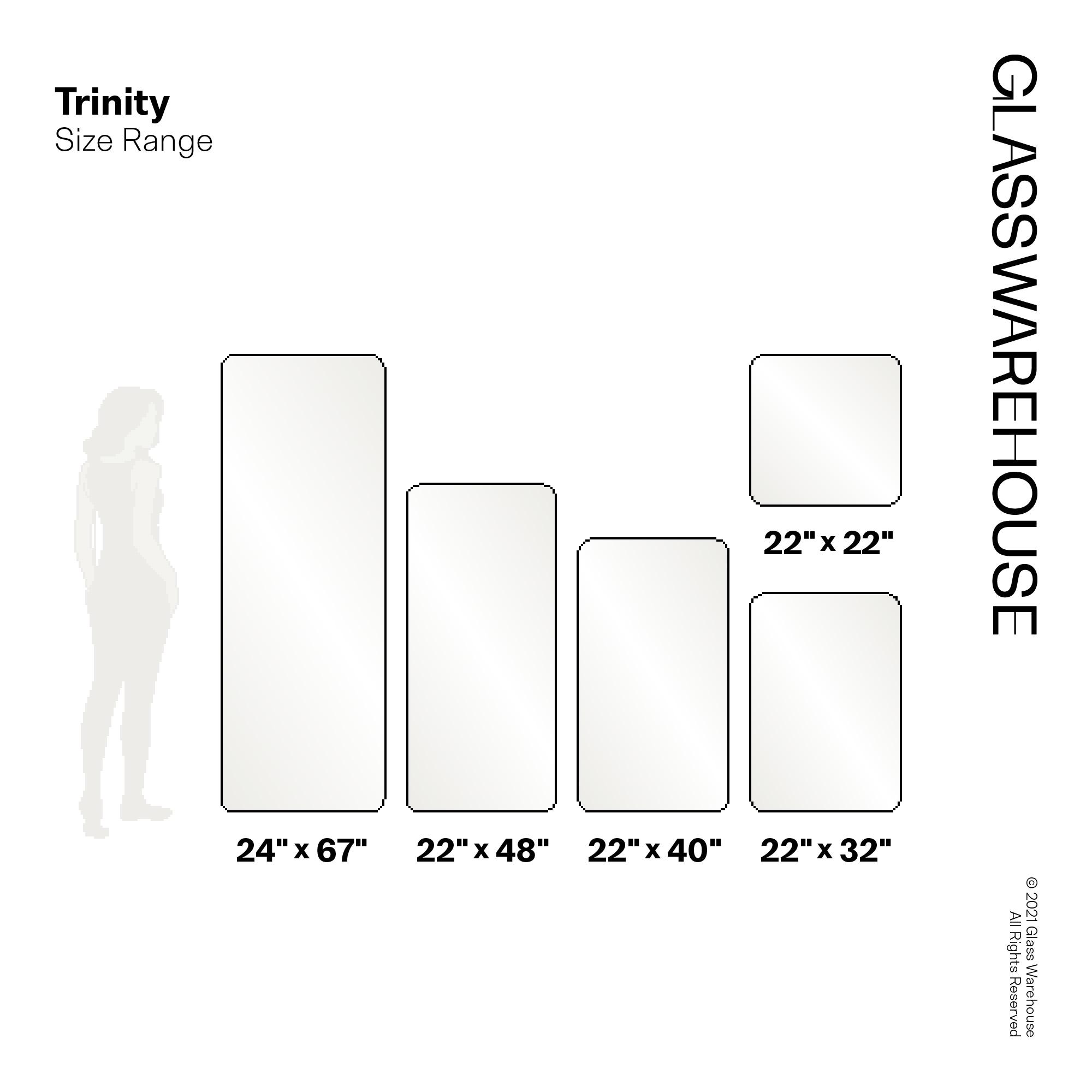 Trinity 24 in. x 67 in. Square Radius Mirror