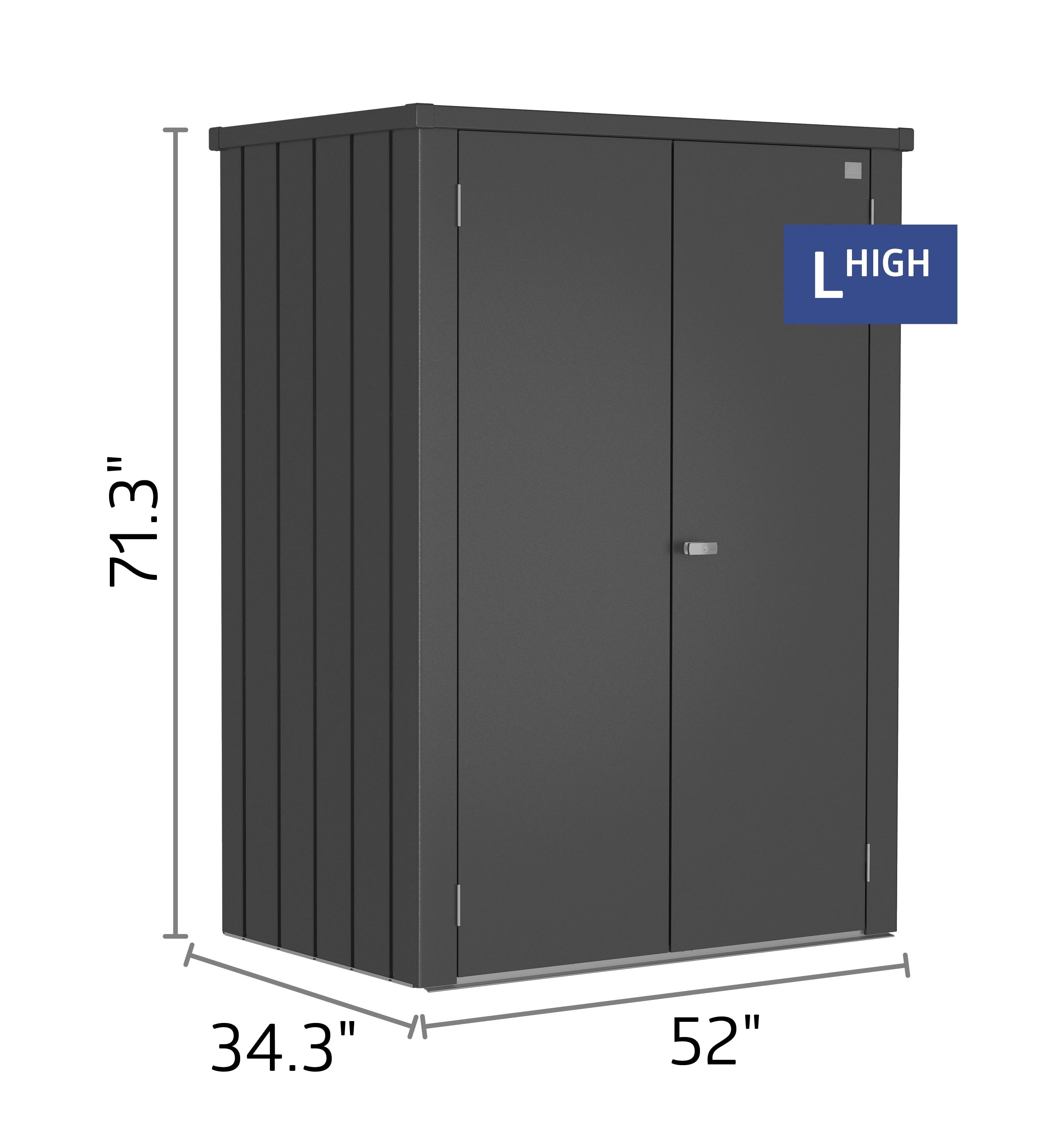 Biohort Biohort Romeo 4 ft. 3 in. W Metal Vertical Tool Shed in Dark Gray