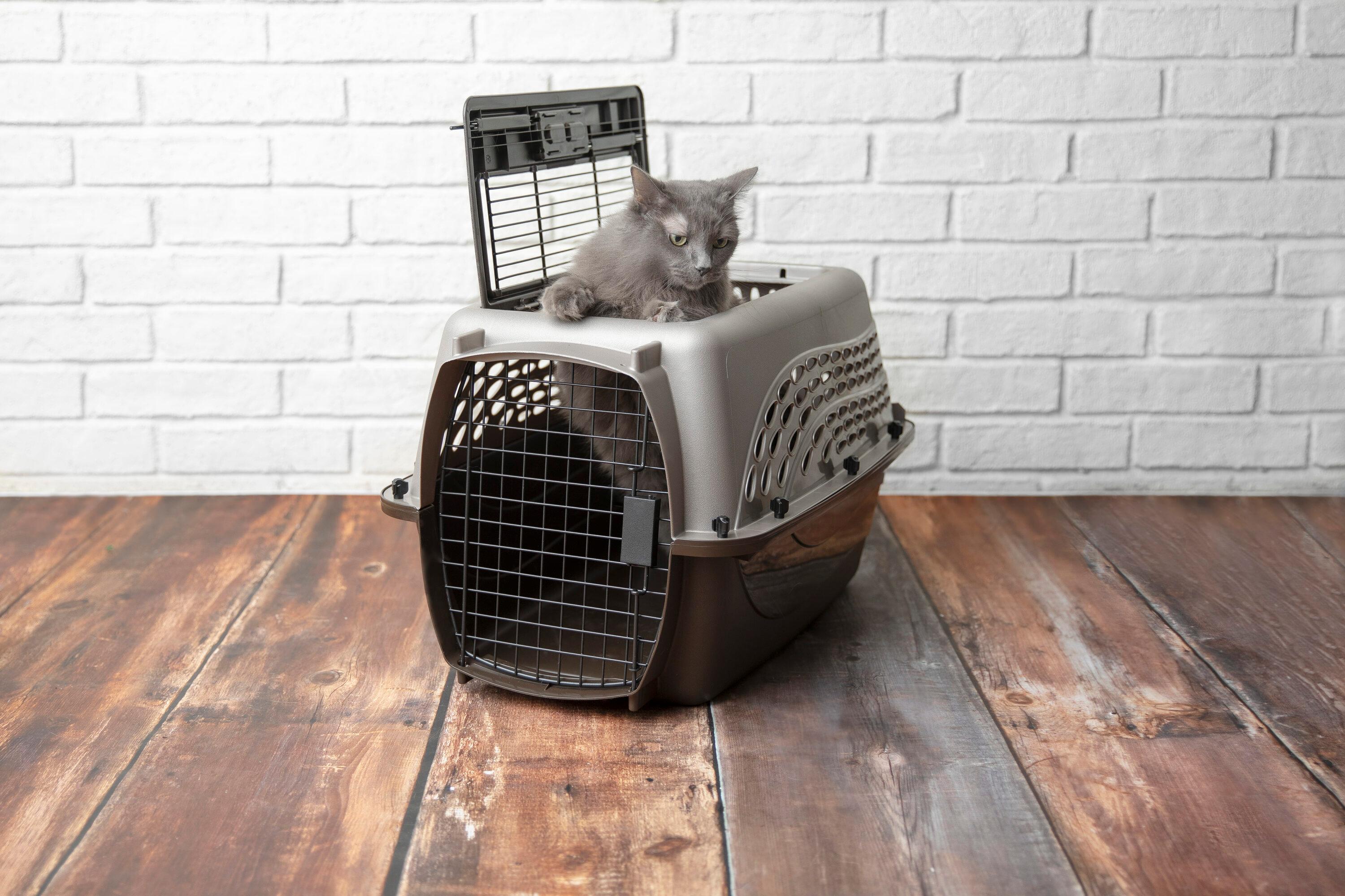 Petmate Plastic Pet Carrier with 1 Door