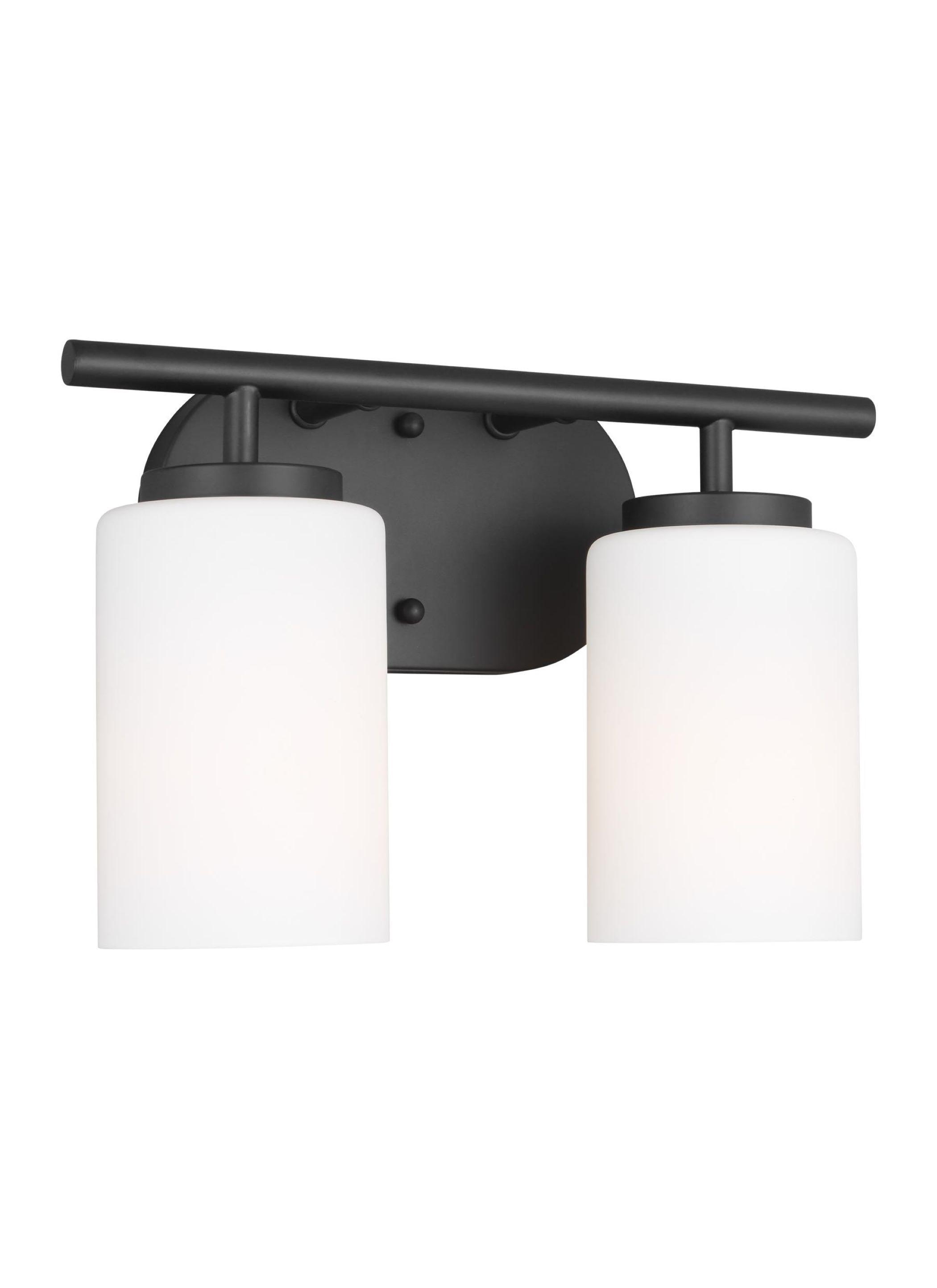 Oslo 12.5 in. 2-Light Midnight Black Transitional Contemporary Bathroom Vanity Light with Cased Opal Etched Glass Shades