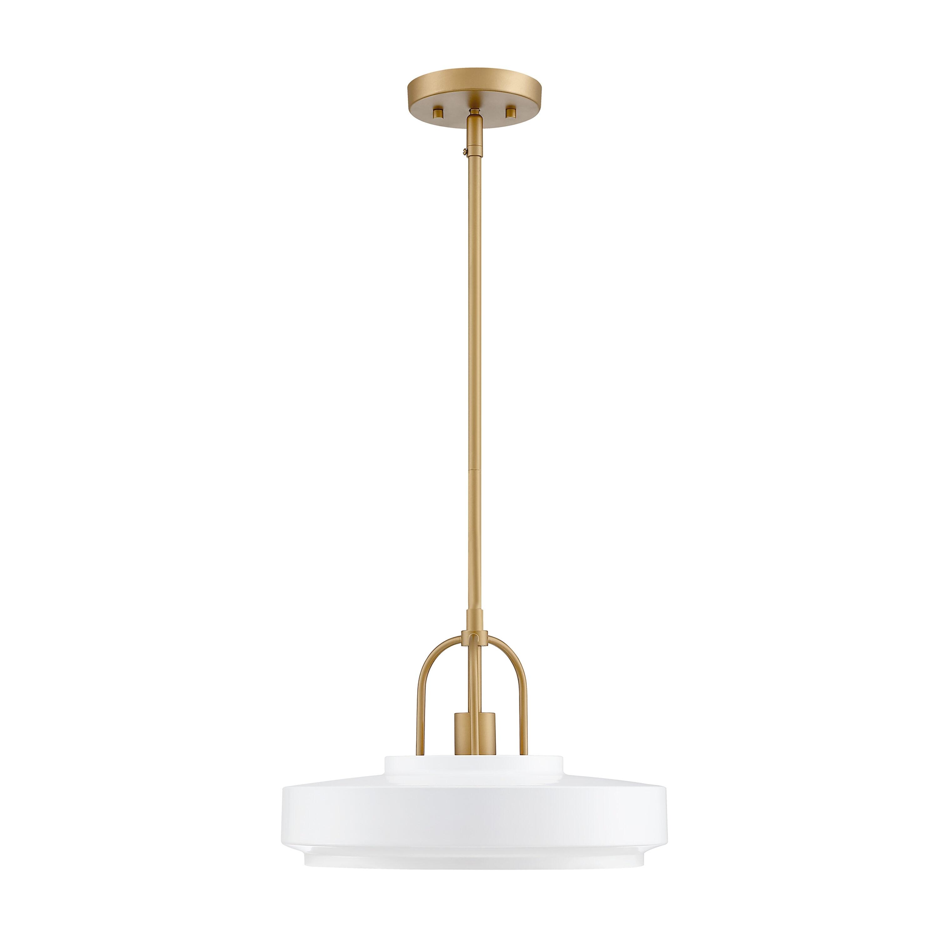 Designers Fountain Odea 14 inch 1-Light Matte White Transitional Pendant Light, D295M-14P-MW