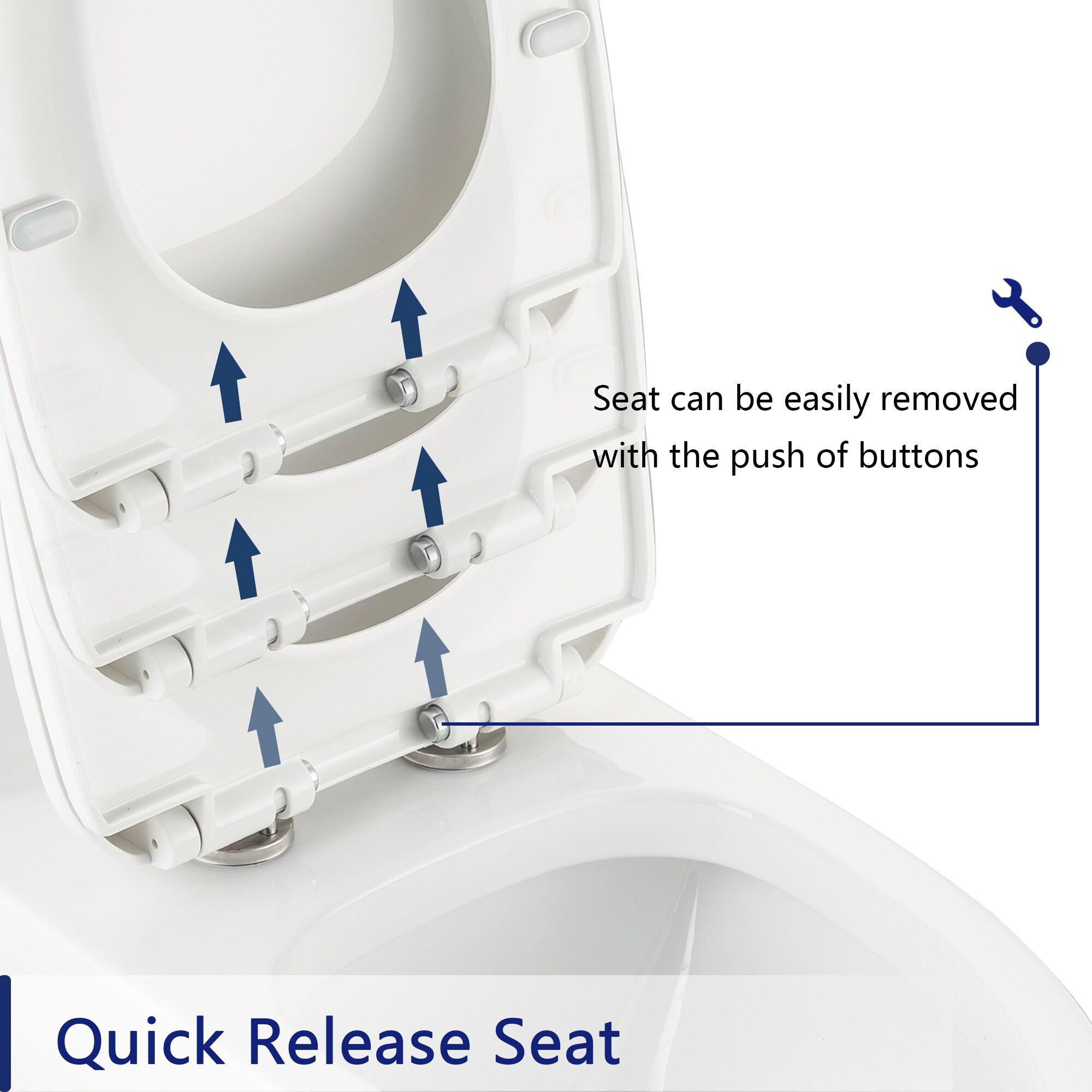 Ally Standard Bathroom Toielt, Modern Toilet with Comfort Chair Height Floor Mounted(Seat Included)