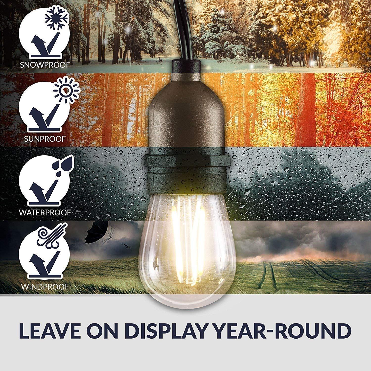 Newhouse Lighting LED String Lights with Weatherproof Technology, Dimmable with Wireless Remote Control, 48ft and 16 (15+1 free) LED Light Bulbs Included, Black (CSTRINGLEDDIM)