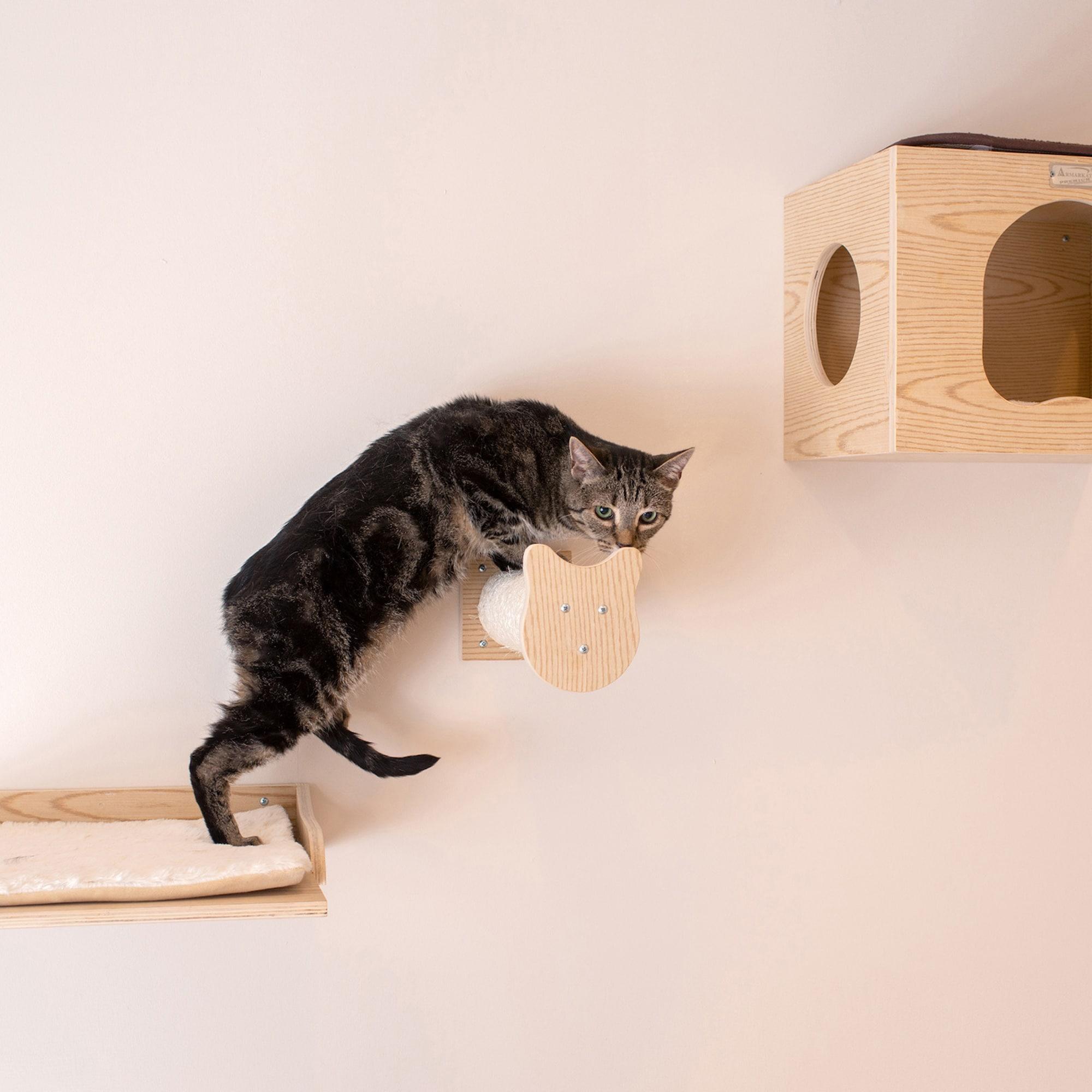 Armarkat 12'' H Cat Tree