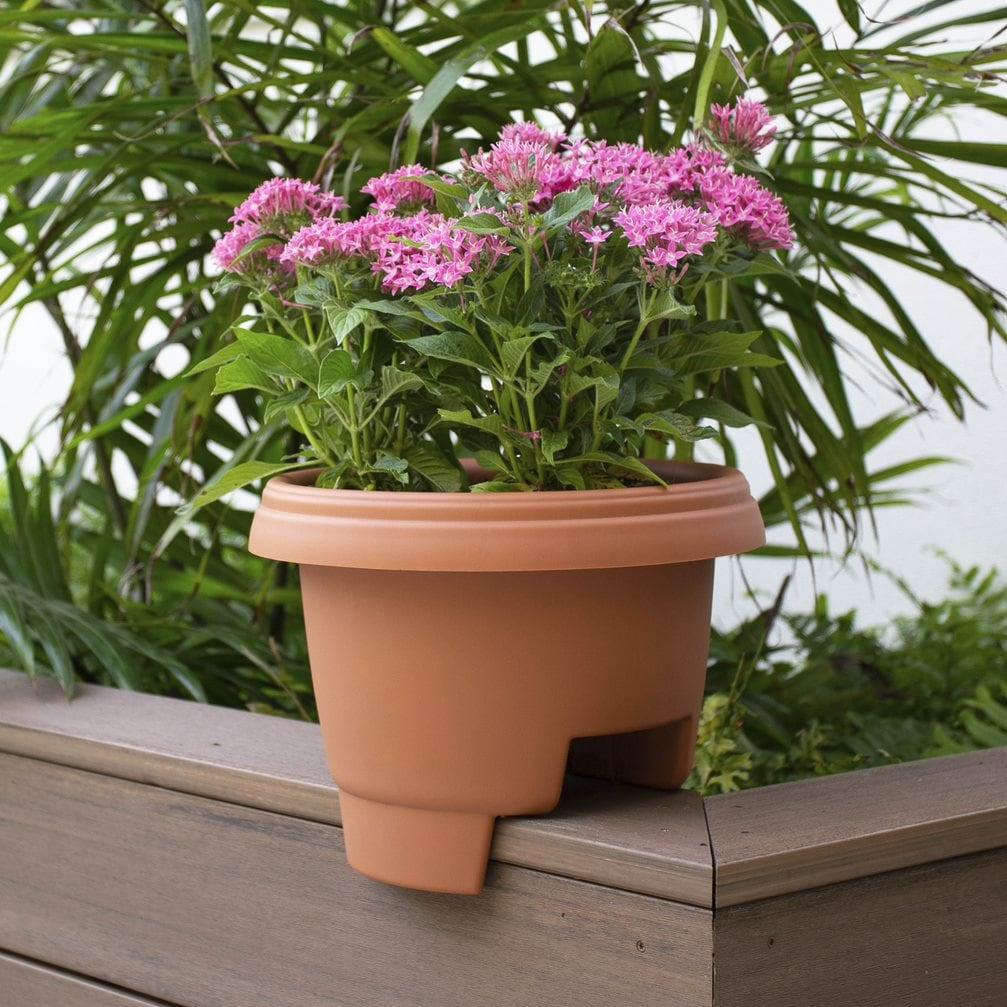 Bloem 12-in Resin Round Deck Rail Round Planter - Terra Cotta Color