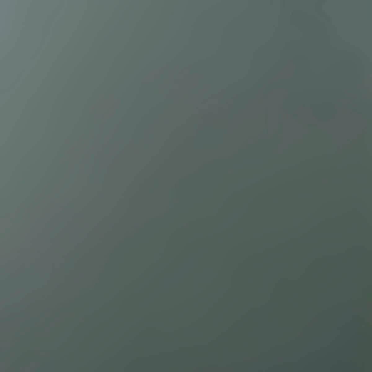 Arrow Arrow 9 x 24 ft Charcoal Two Sided Steel Carport Enclosure